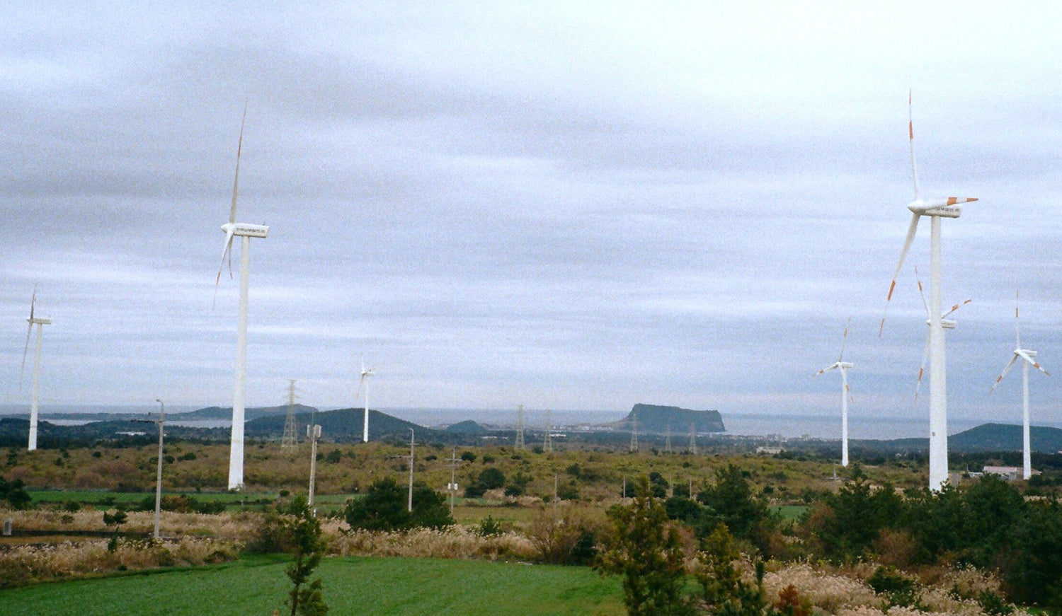 Jeju Oreum Landscape