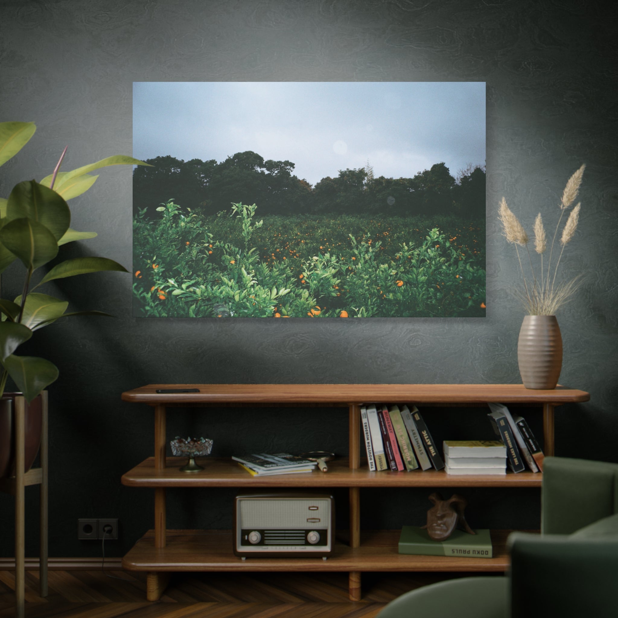 Jeju Winter Snowy Tangerine Orchard Canvas Print