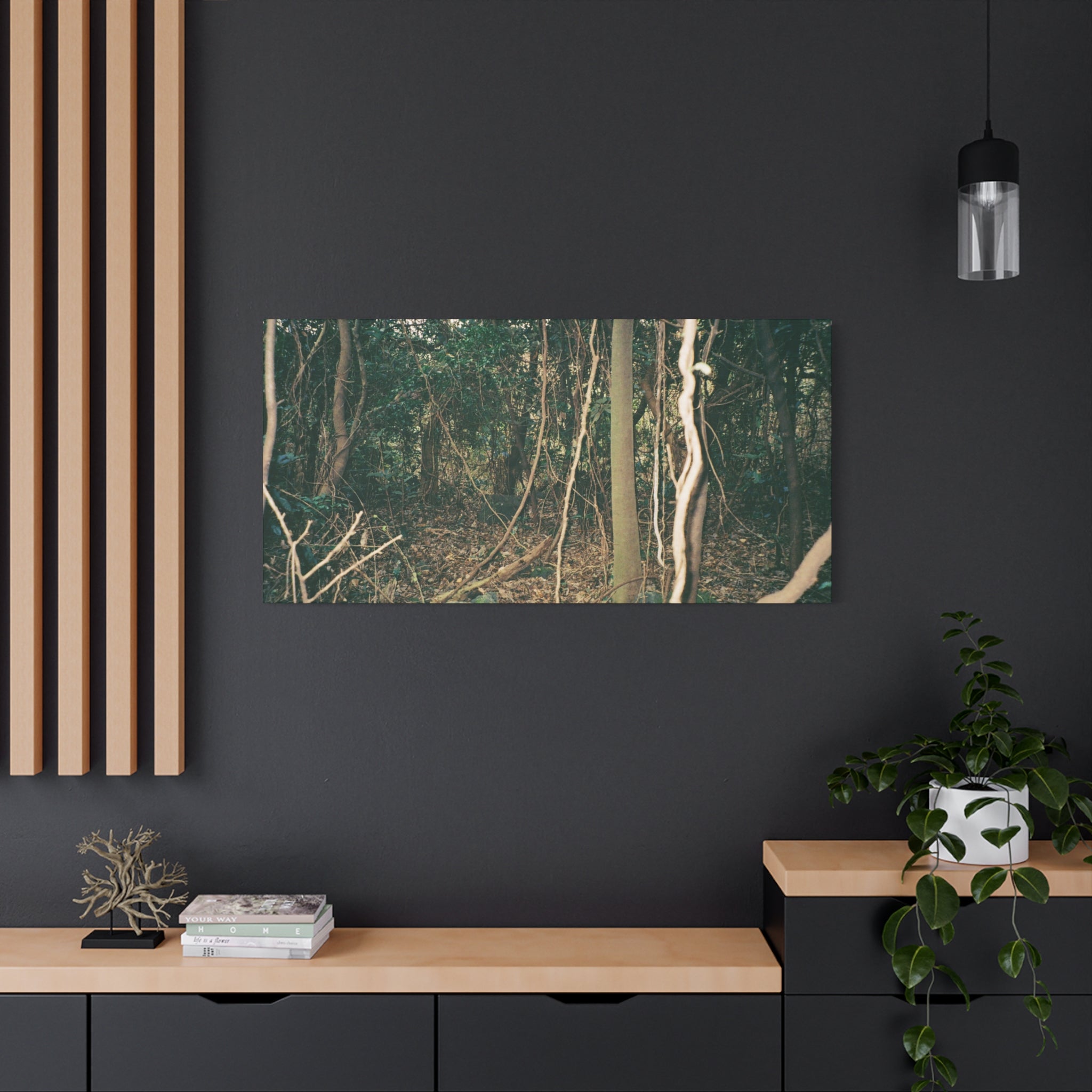 Jeju Gotjawal Forest Canvas Print