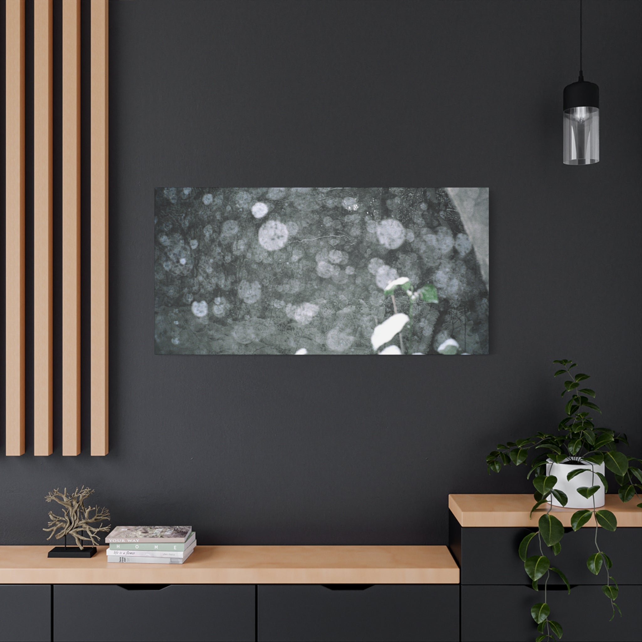 Jeju Snowy Gotjawal Forest Canvas Print