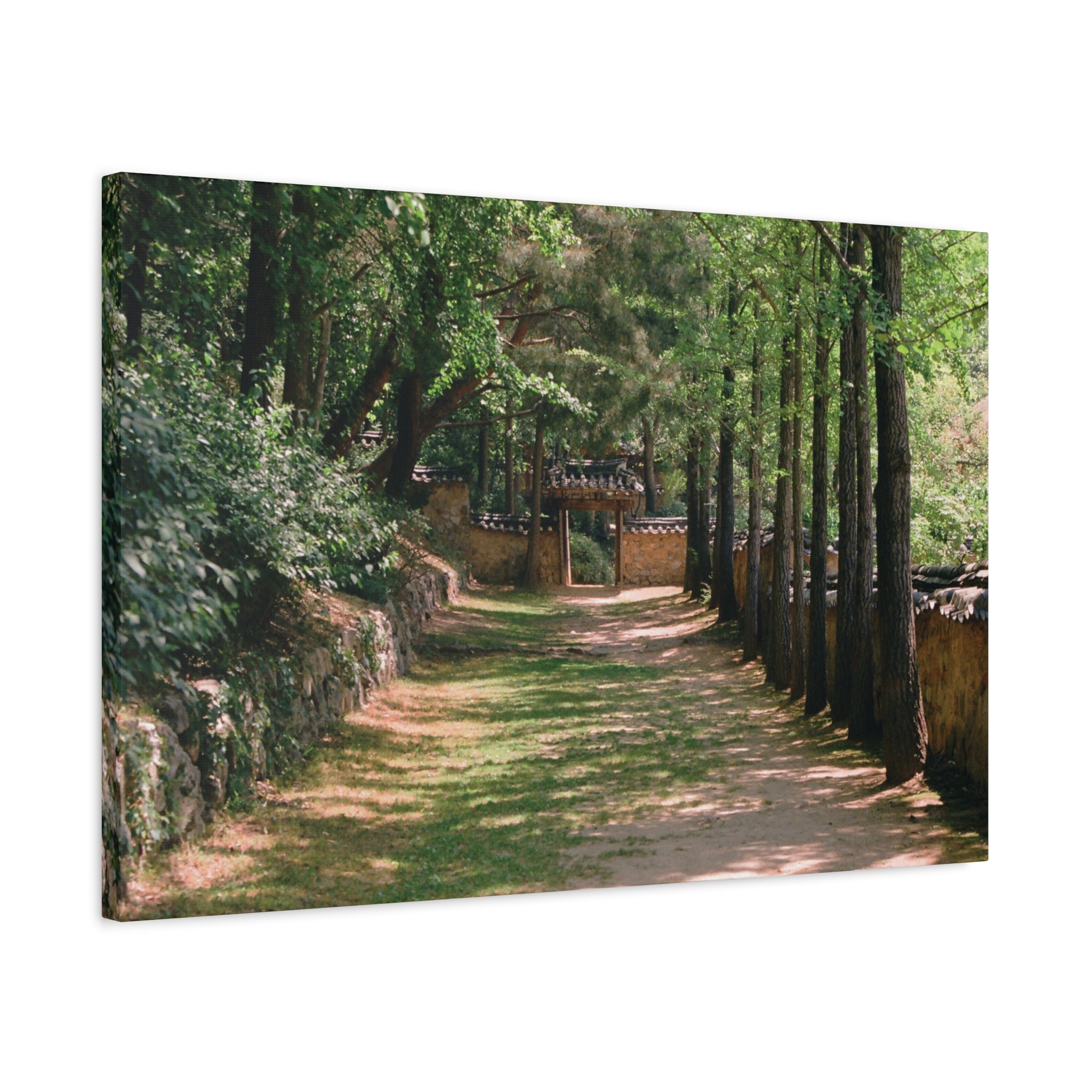 Korean Yongin Folk Village Hanok Lane Canvas Print