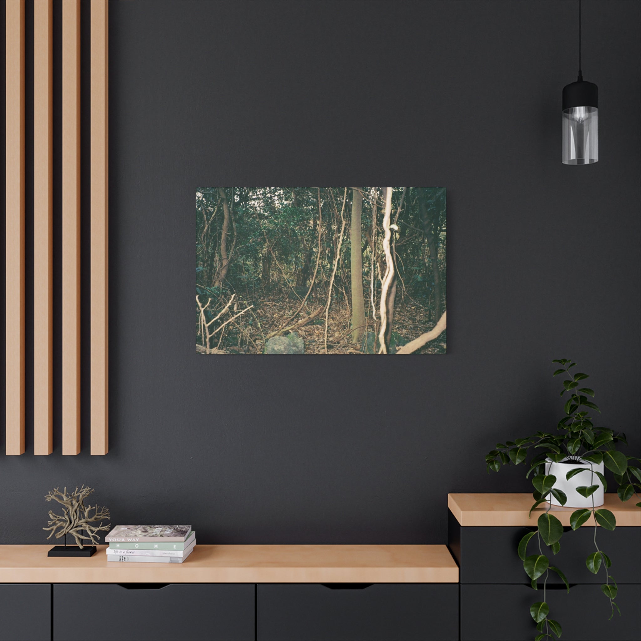 Jeju Gotjawal Forest Canvas Print