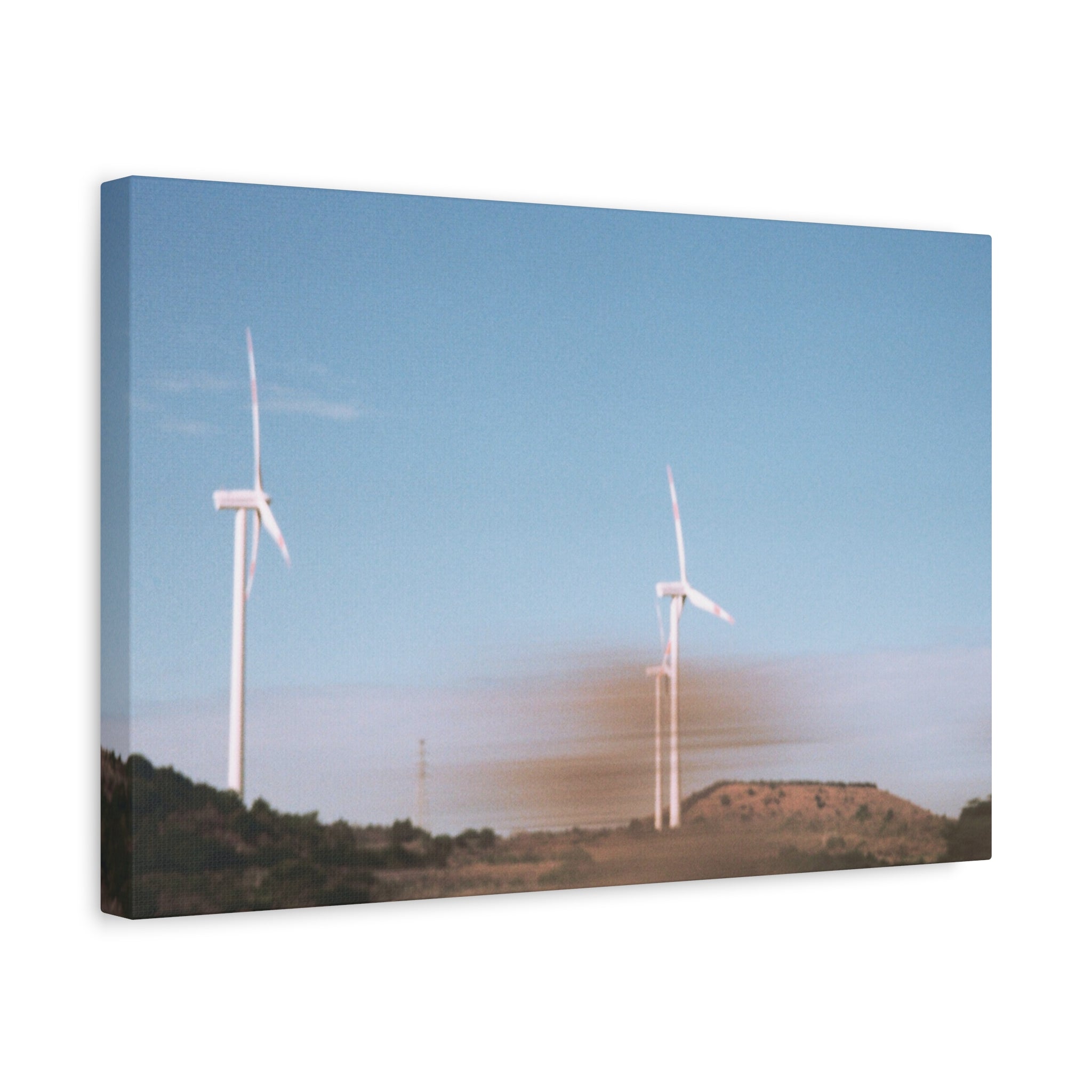 Jeju Winter Silver Grass Canvas Print