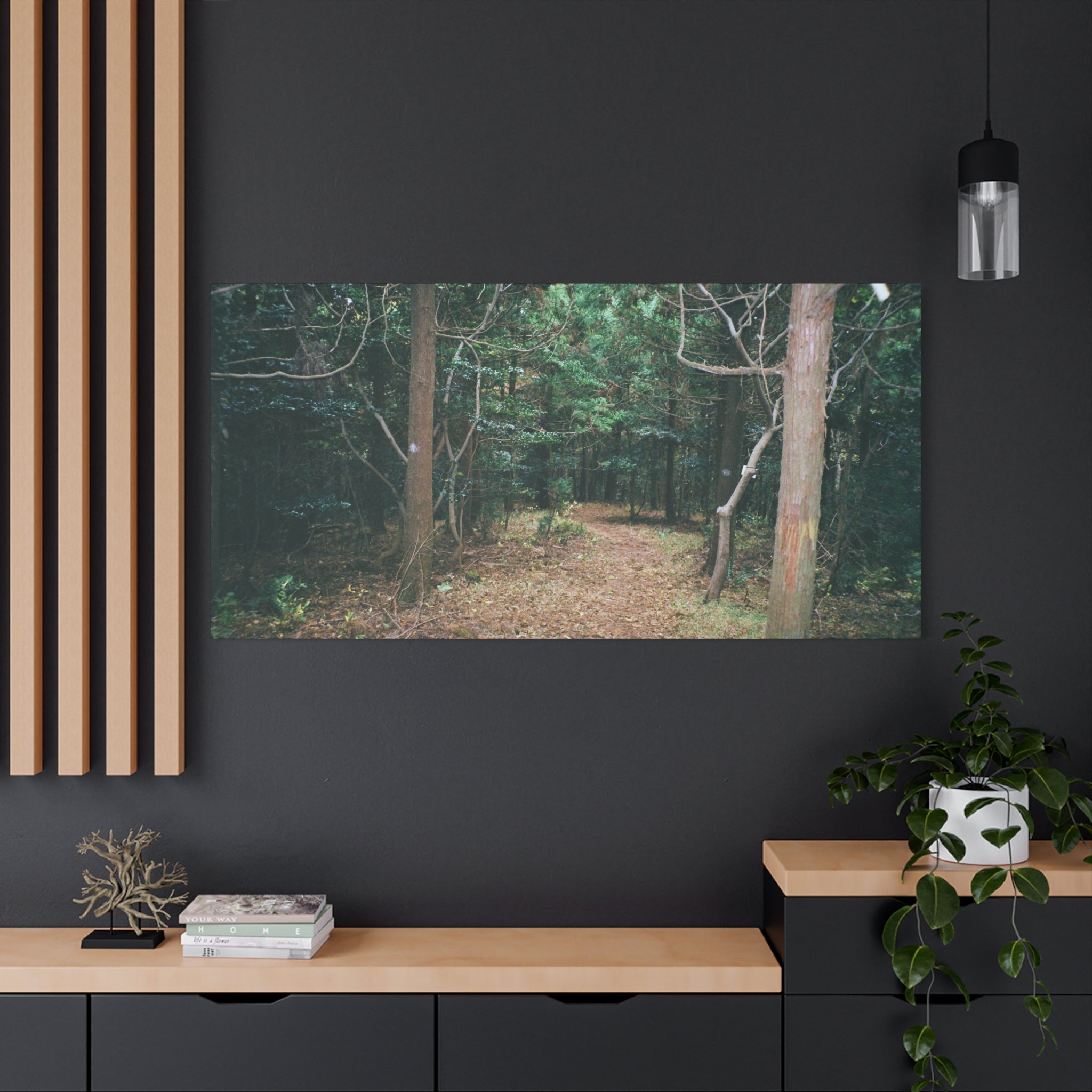 Jeju Winter Oreum Forest Canvas Print