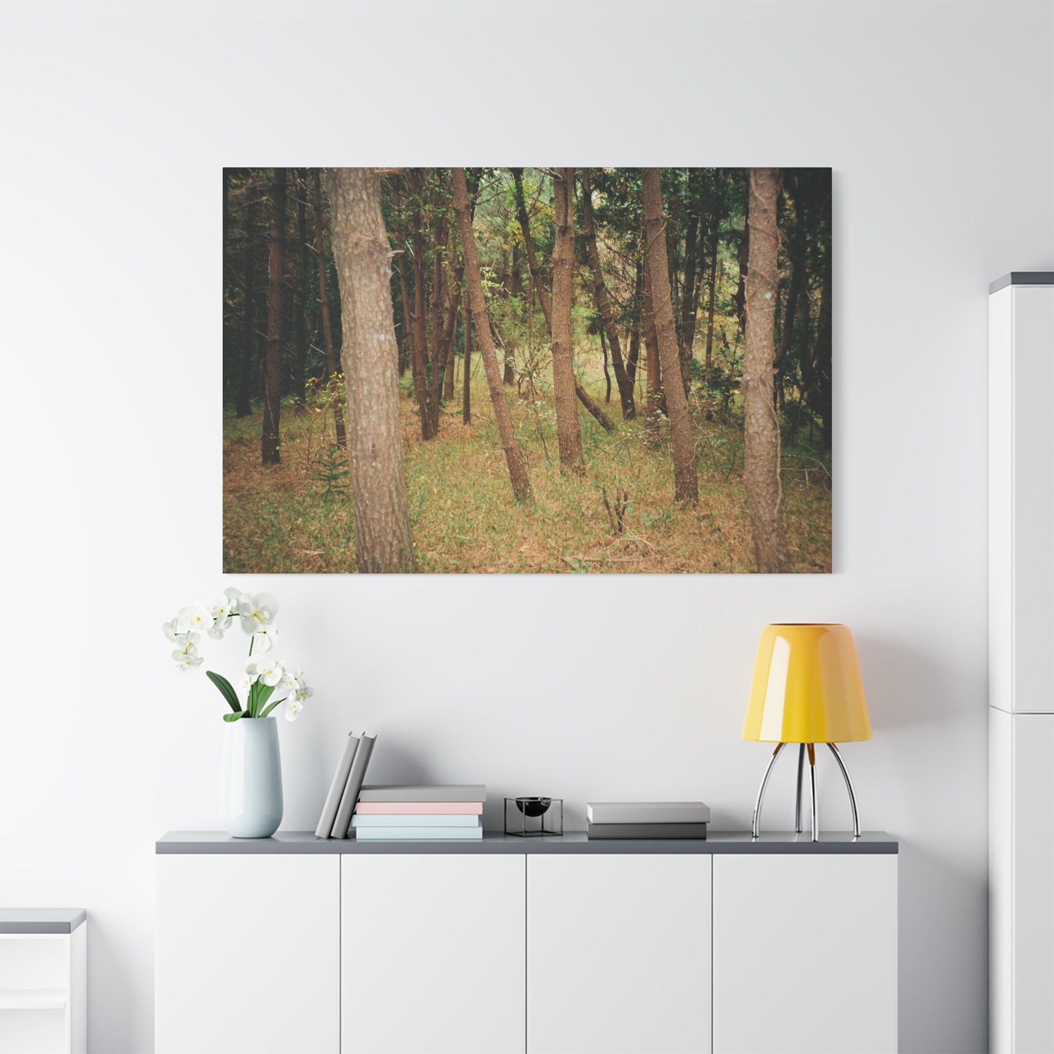 Jeju Gungdae Oreum Forest Canvas Print