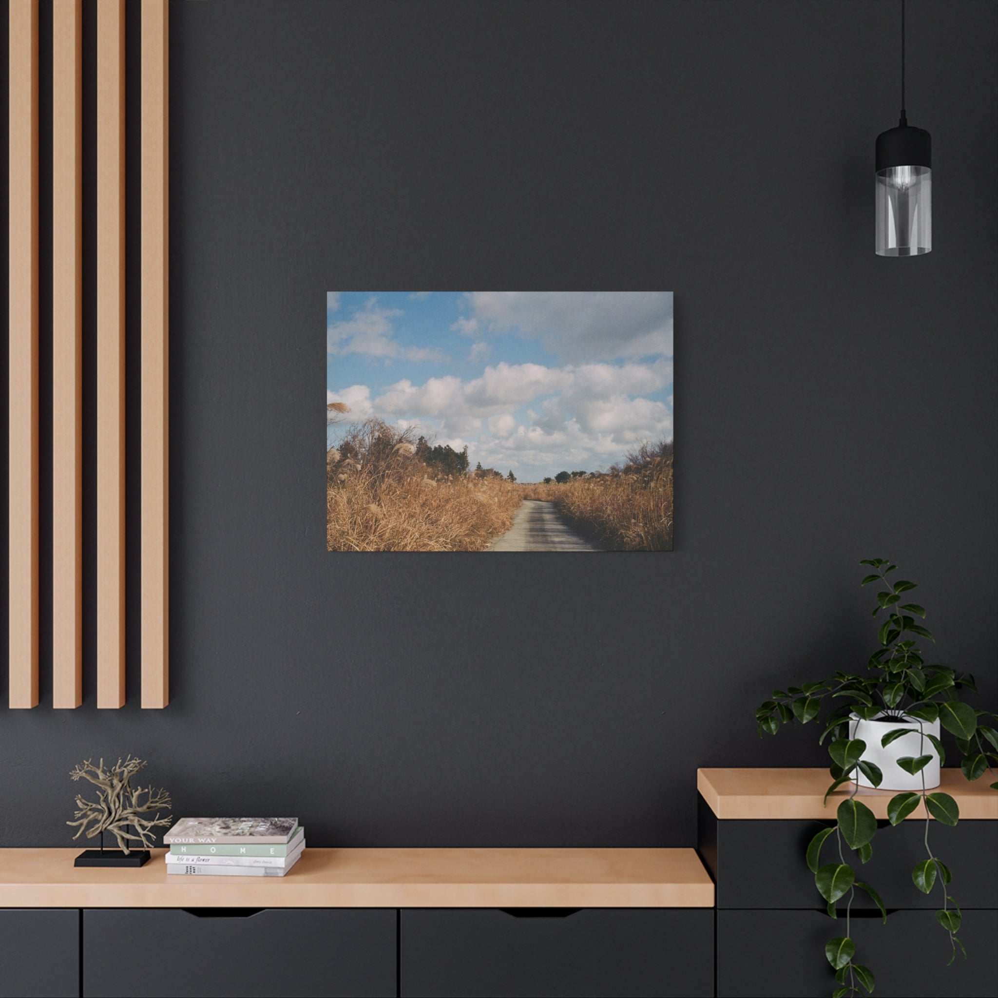 Jeju Gotjawal Winter Silver Grass Canvas Print