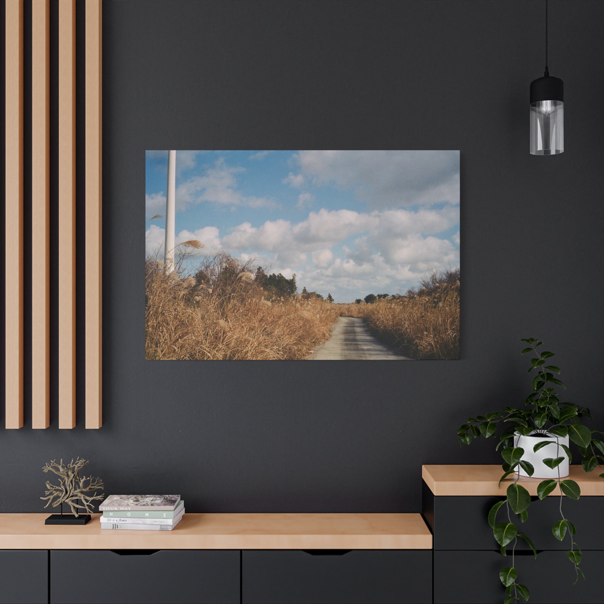 Jeju Gotjawal Winter Silver Grass Canvas Print