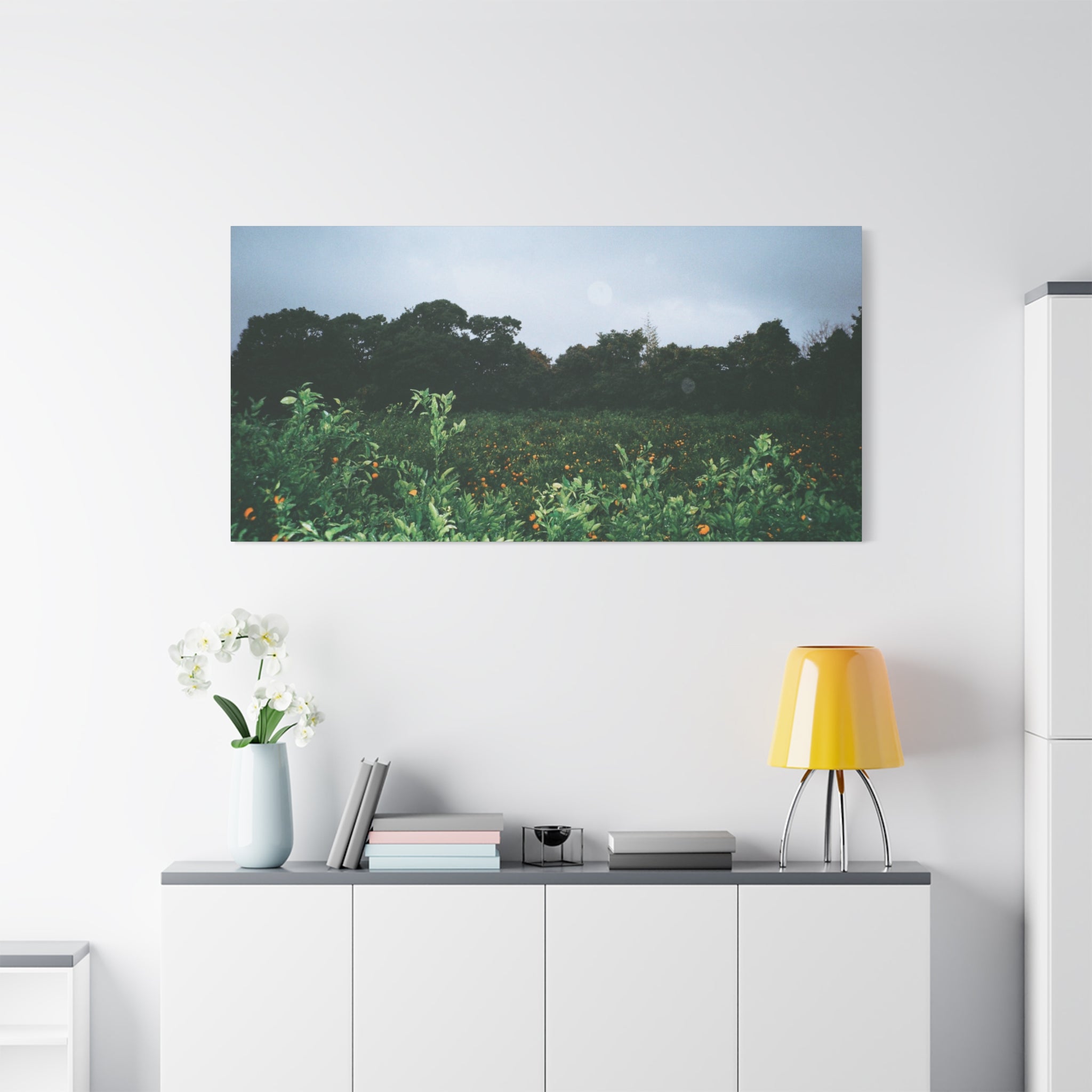 Jeju Winter Snowy Tangerine Orchard Canvas Print