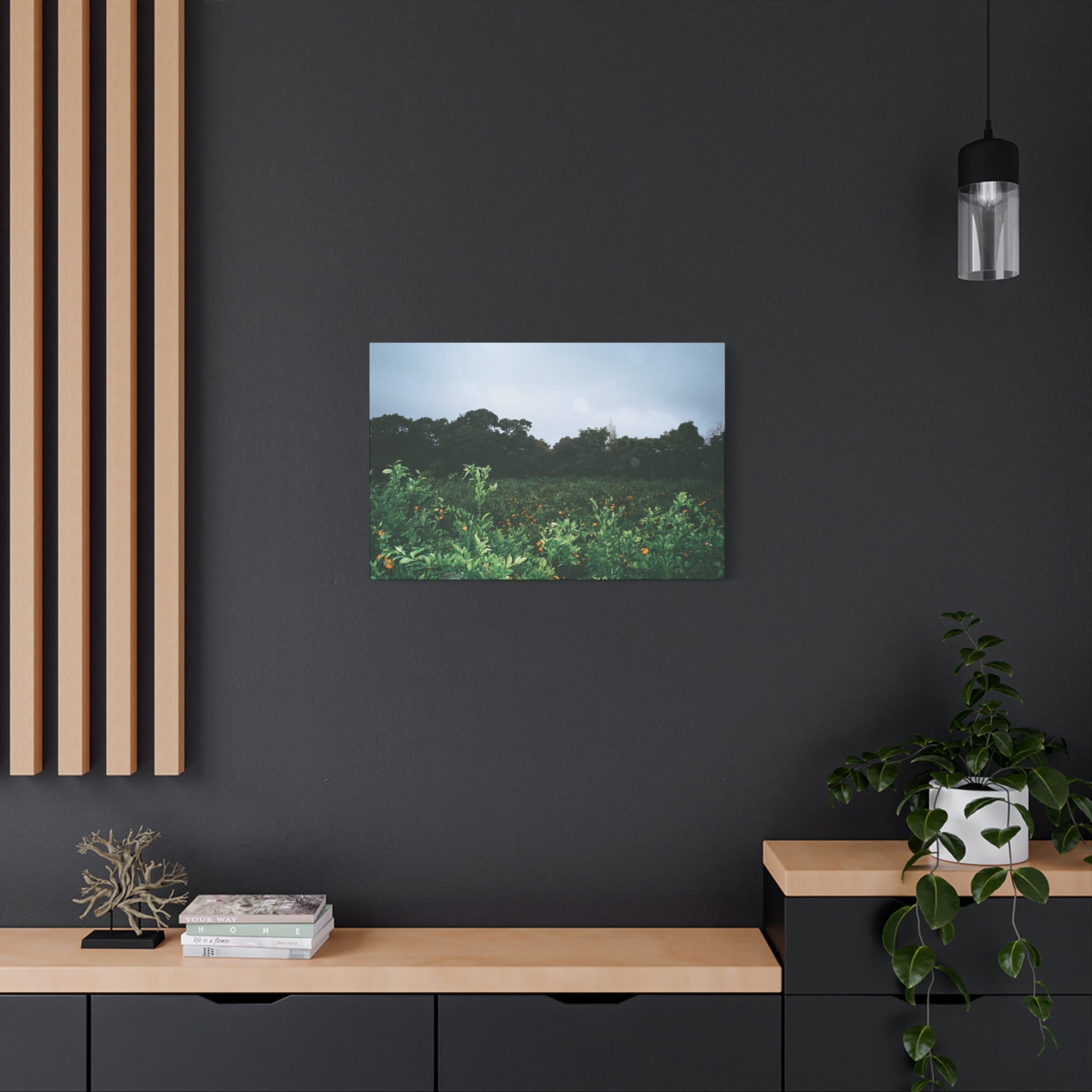 Jeju Winter Snowy Tangerine Orchard Canvas Print