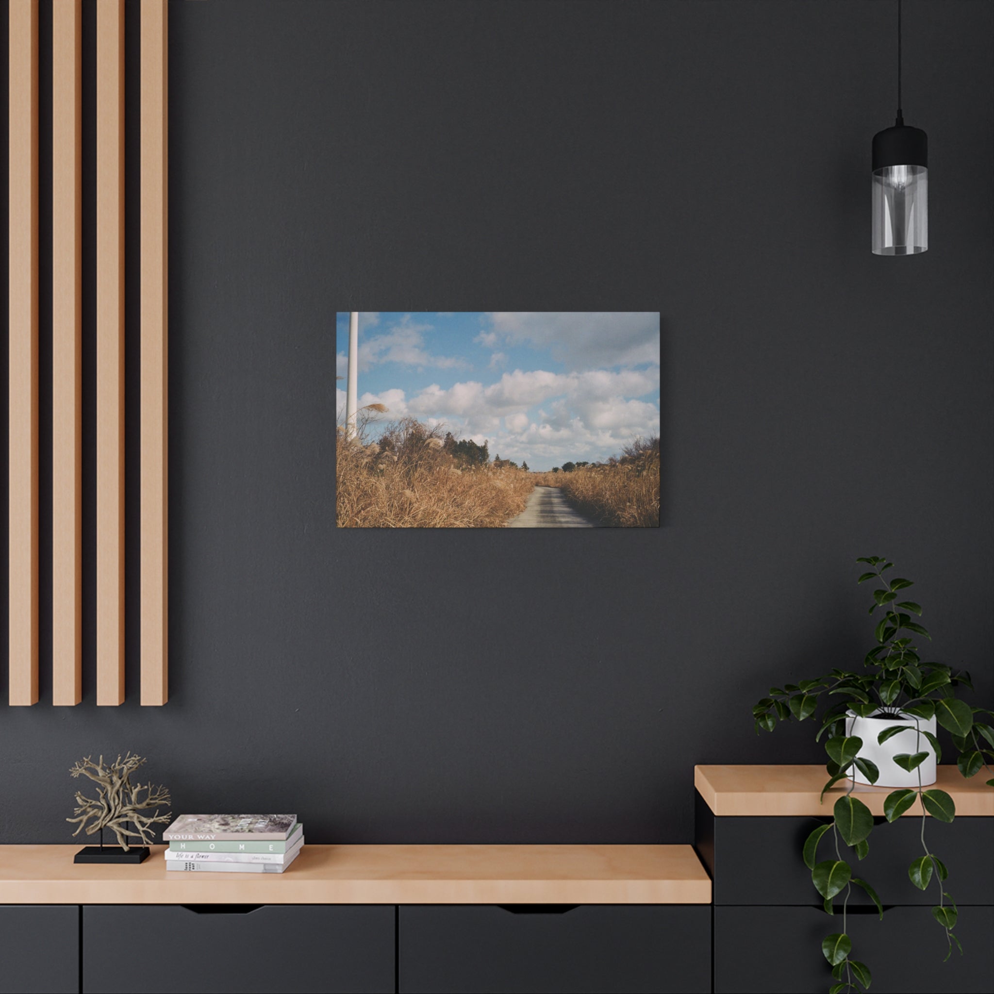 Jeju Gotjawal Winter Silver Grass Canvas Print