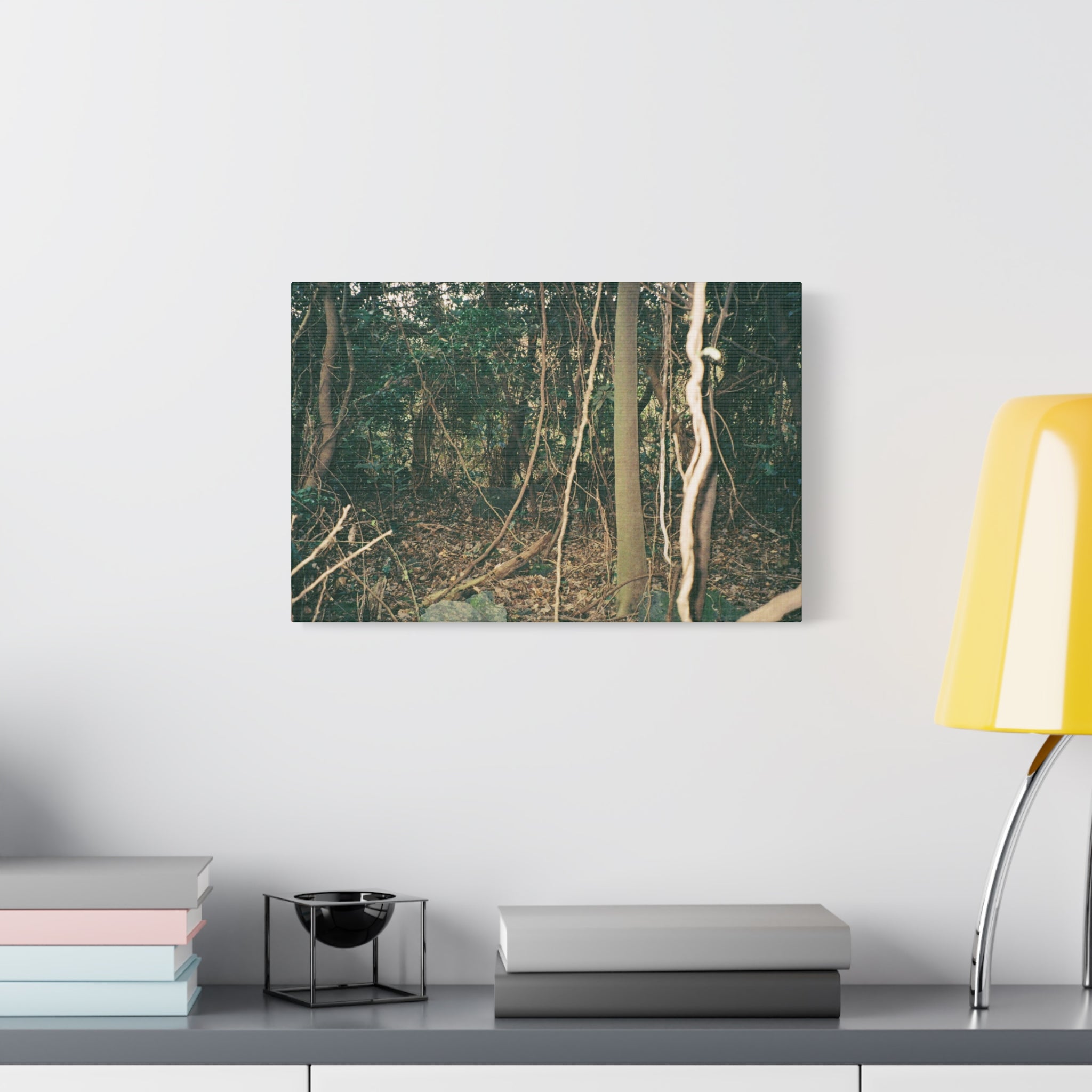 Jeju Gotjawal Forest Canvas Print