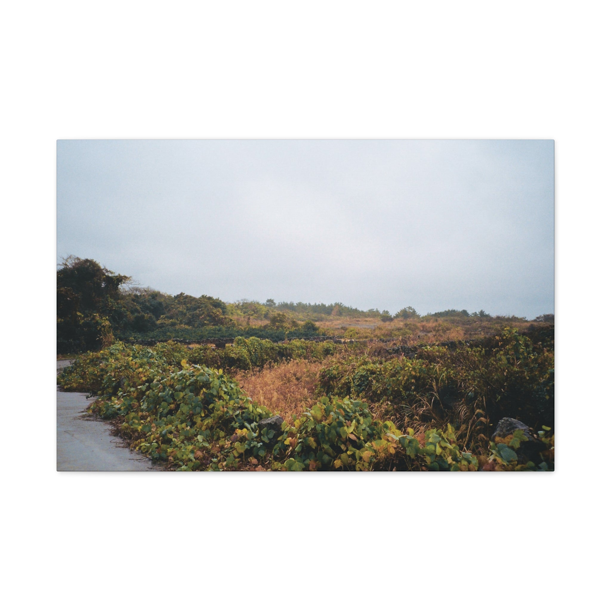 Jeju Rainy Countryside Path Canvas Print — Matte Stretched Wall Art