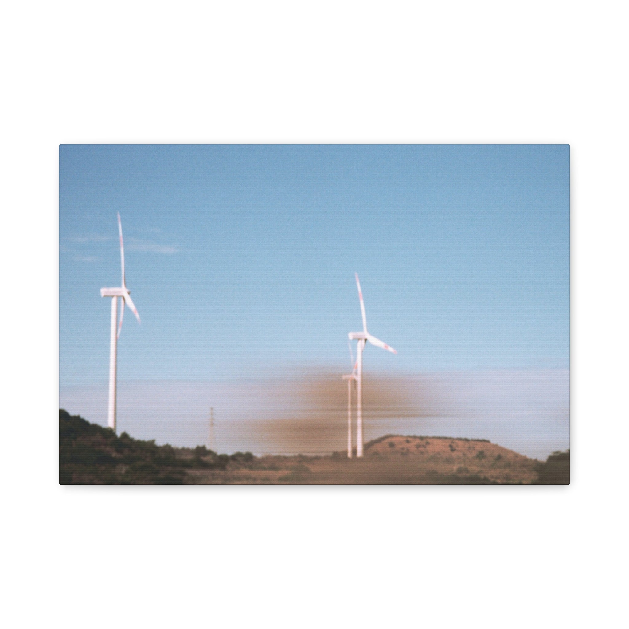 Jeju Winter Silver Grass Canvas Print