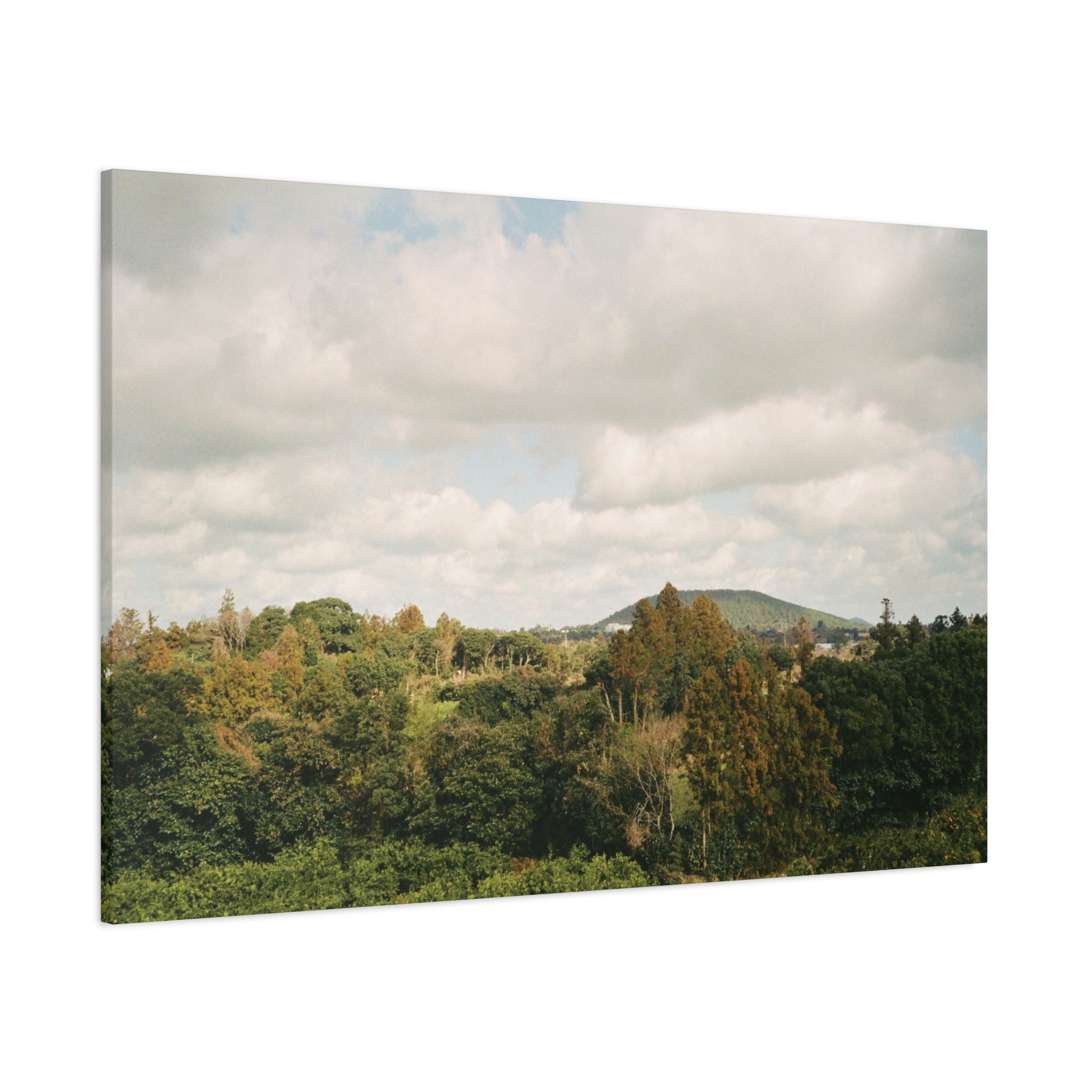 Jeju Wind-Swept Oreum and Clouds Canvas Print