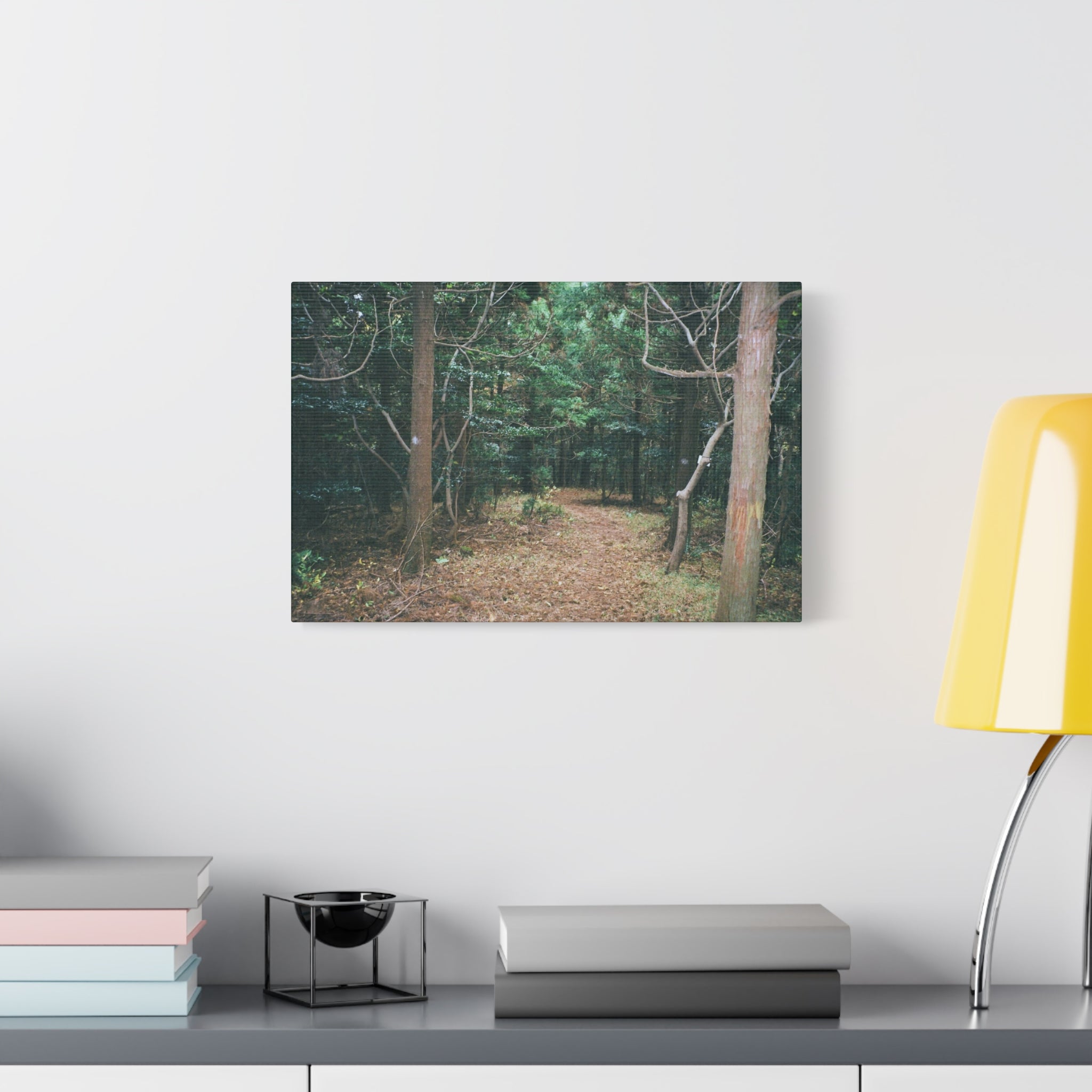 Jeju Winter Oreum Forest Canvas Print
