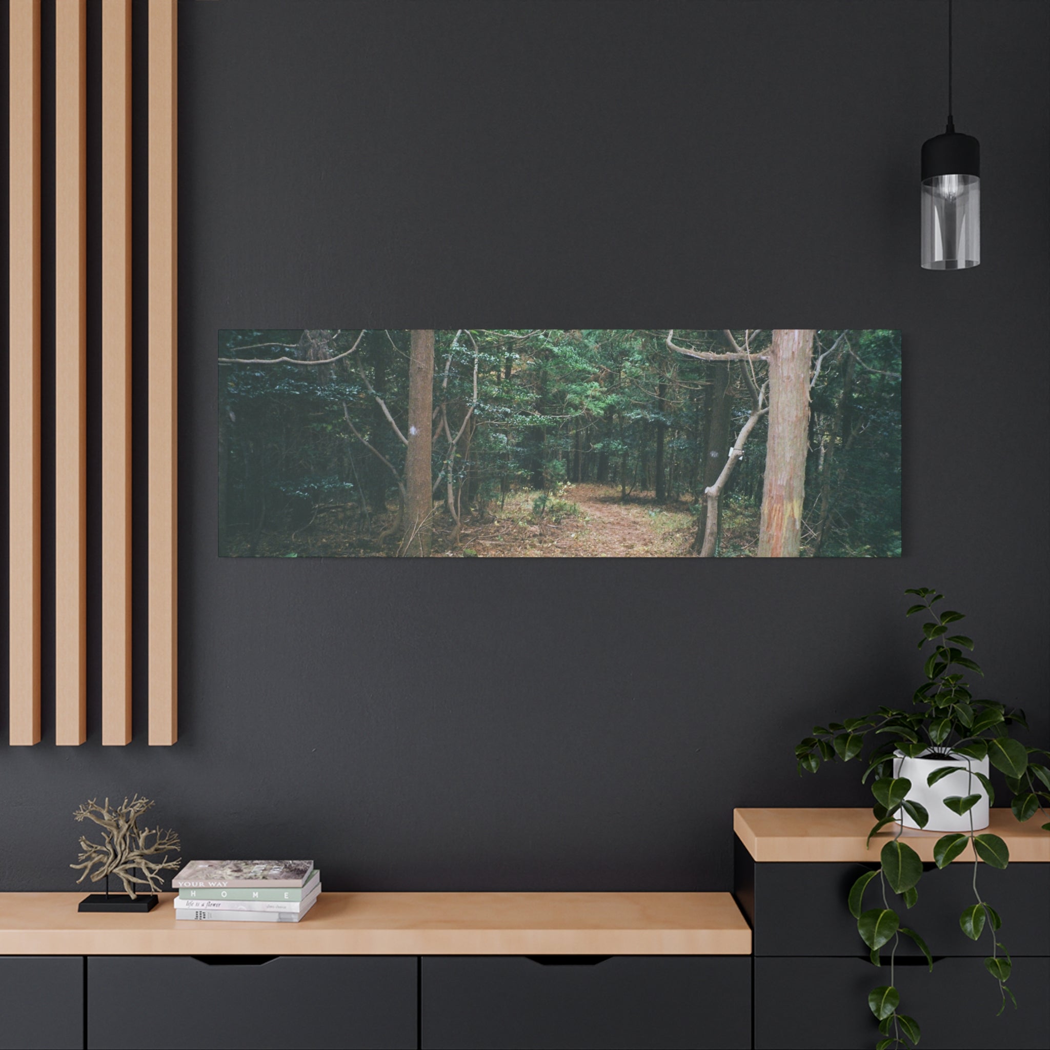 Jeju Winter Oreum Forest Canvas Print