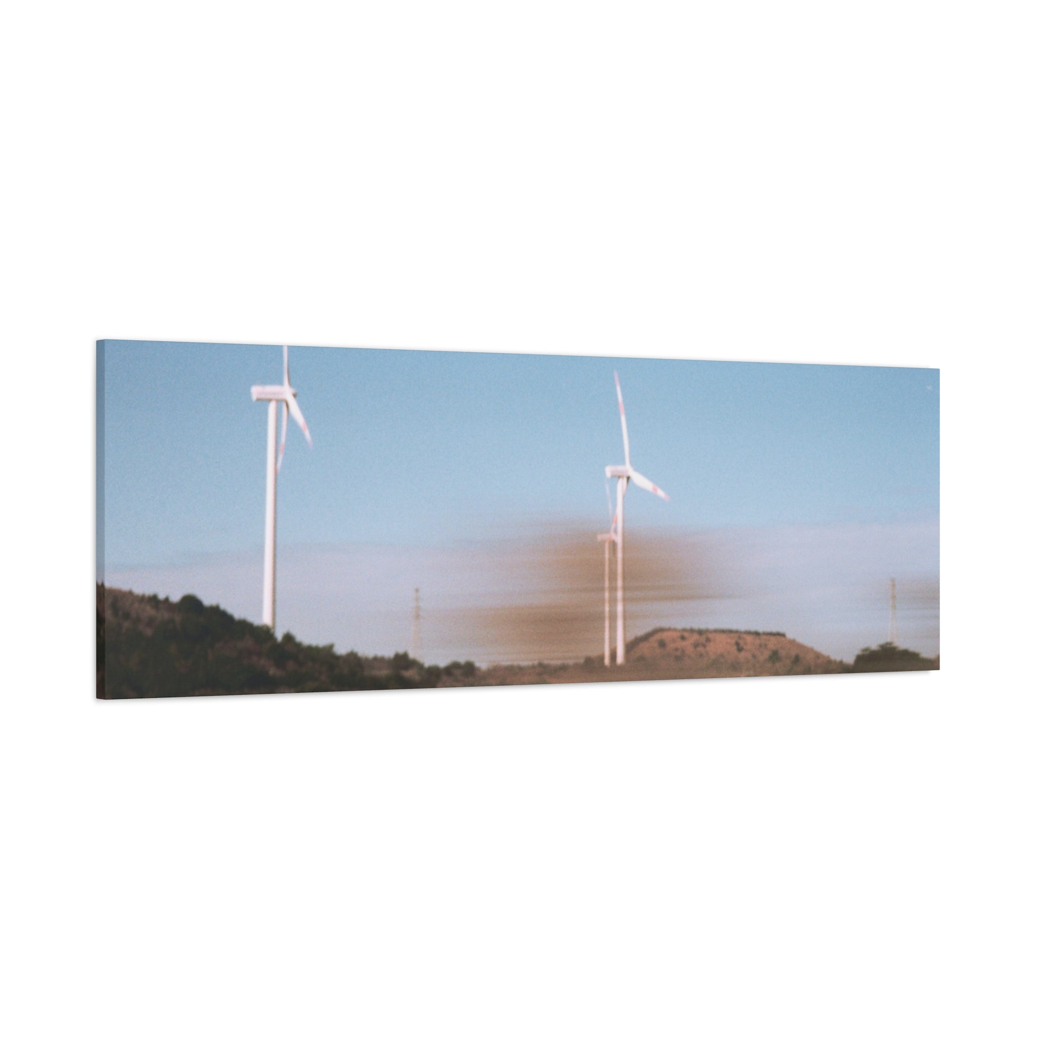 Jeju Winter Silver Grass Canvas Print