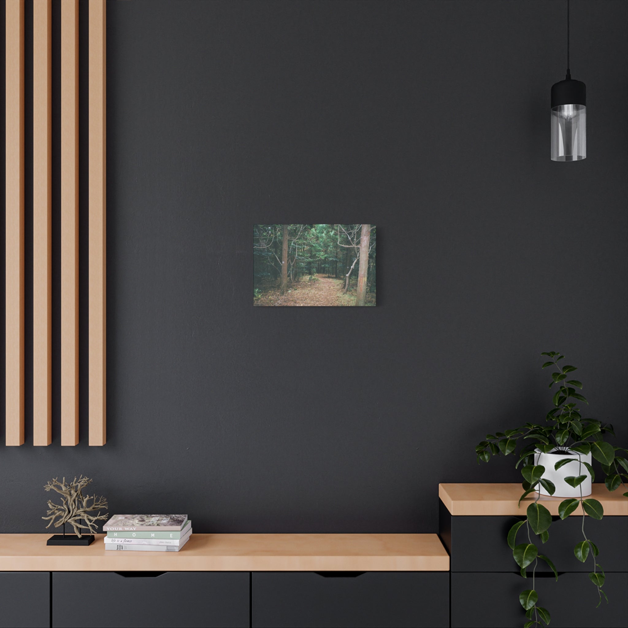 Jeju Winter Oreum Forest Canvas Print