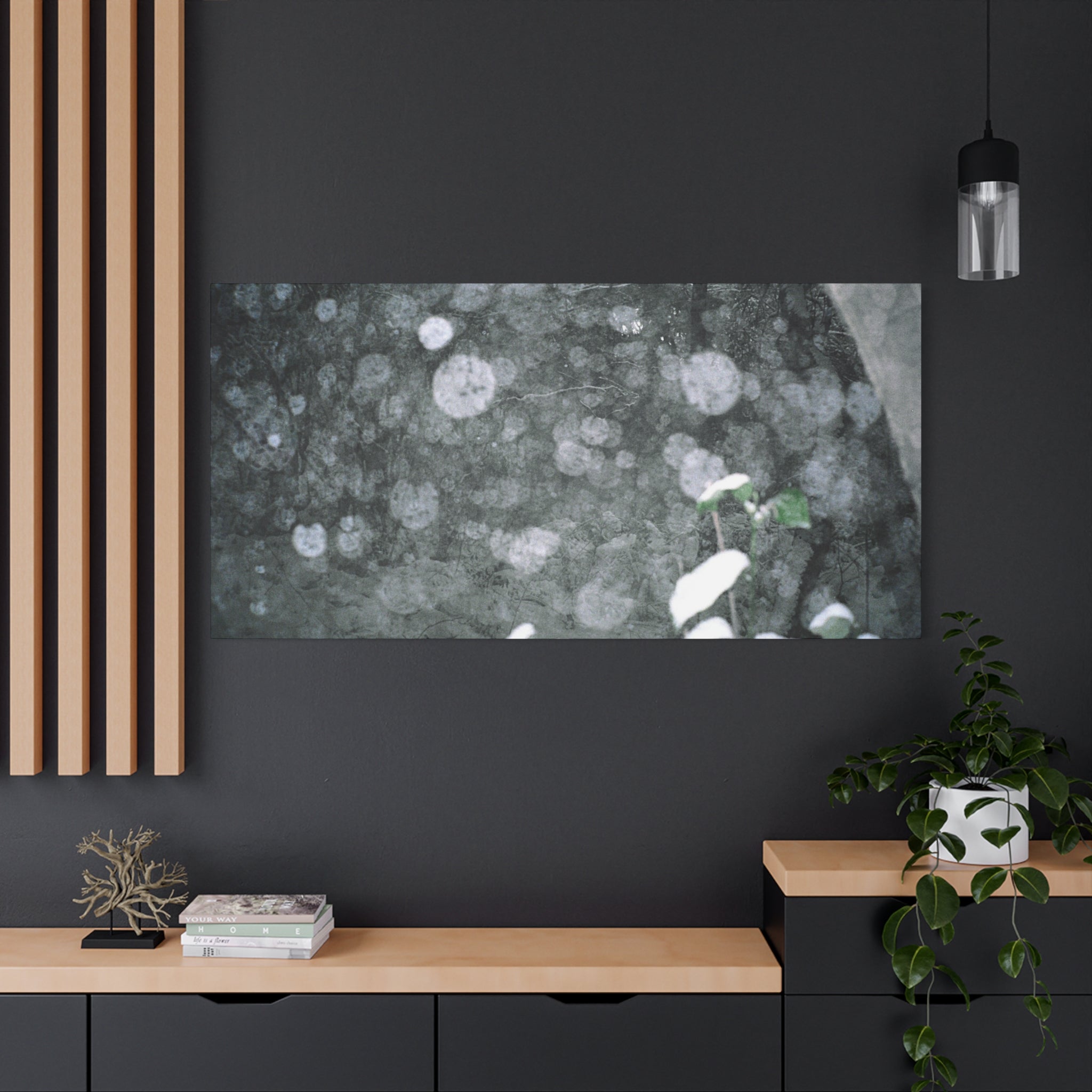 Jeju Snowy Gotjawal Forest Canvas Print