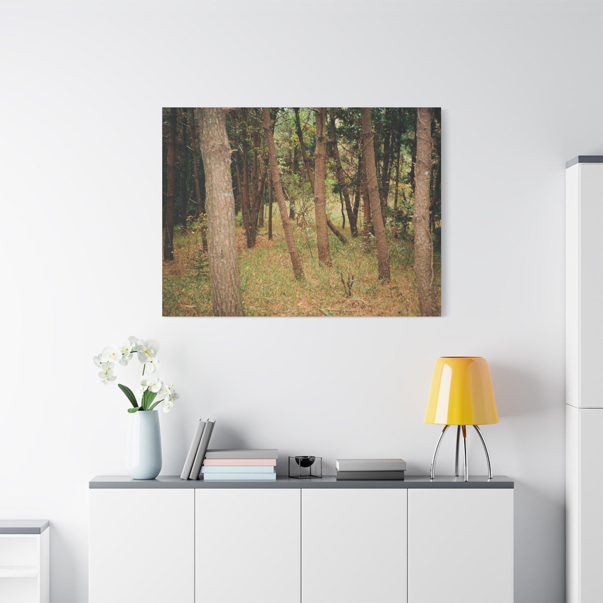 Jeju Gungdae Oreum Forest Canvas Print