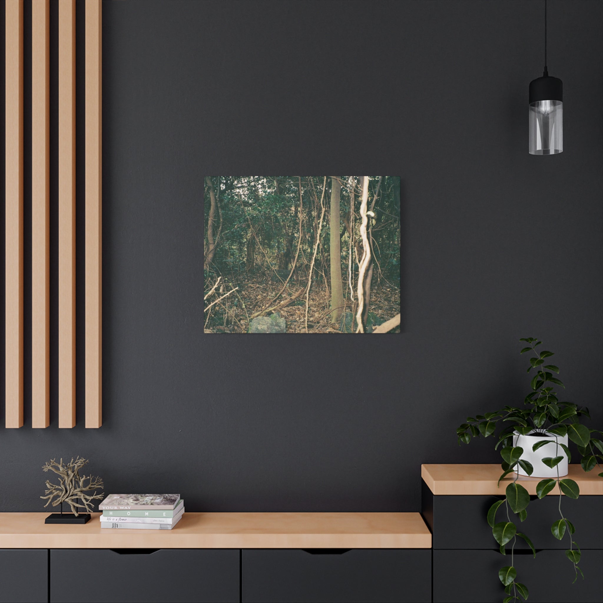 Jeju Gotjawal Forest Canvas Print