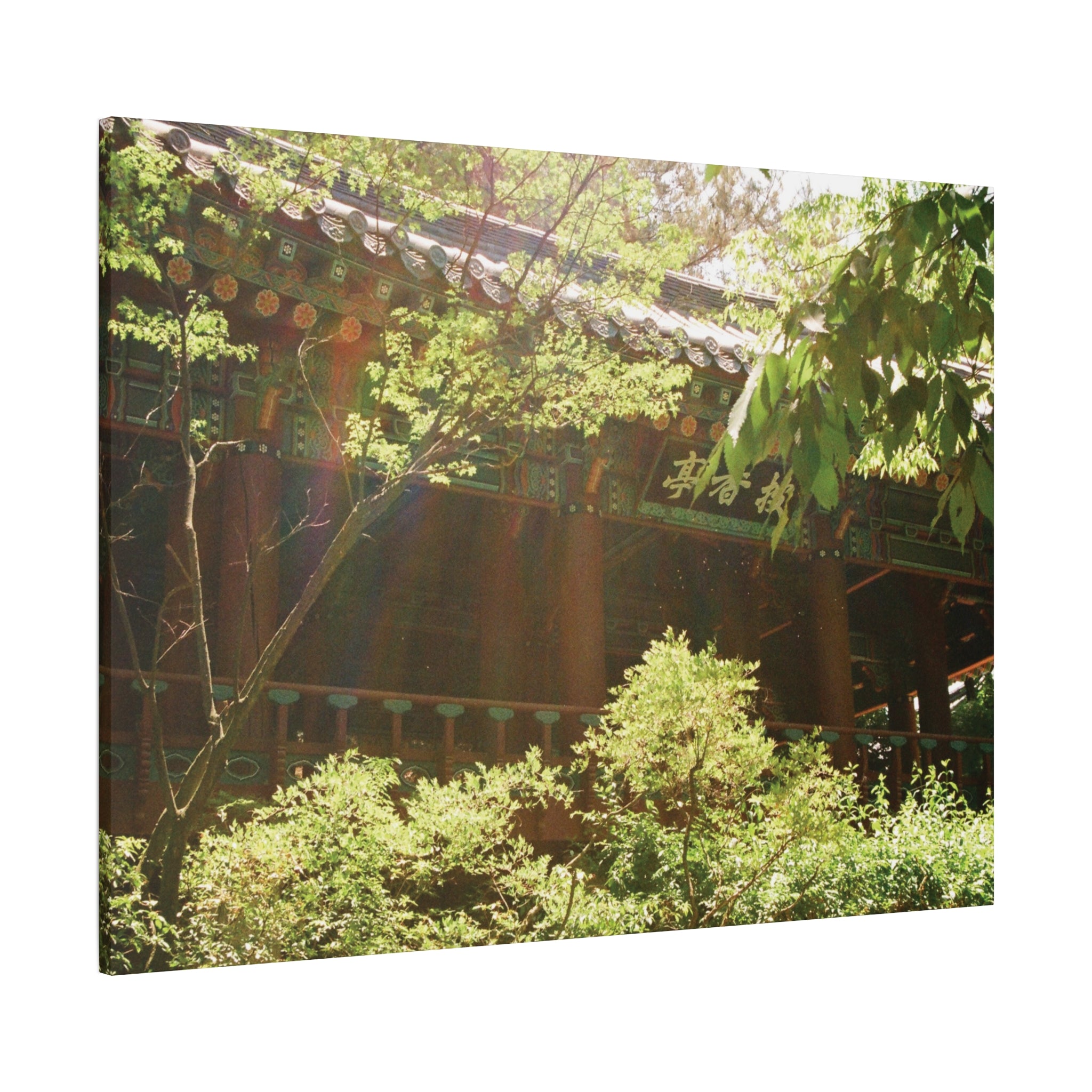 Korean Hanok Spring Sunshine Canvas Print