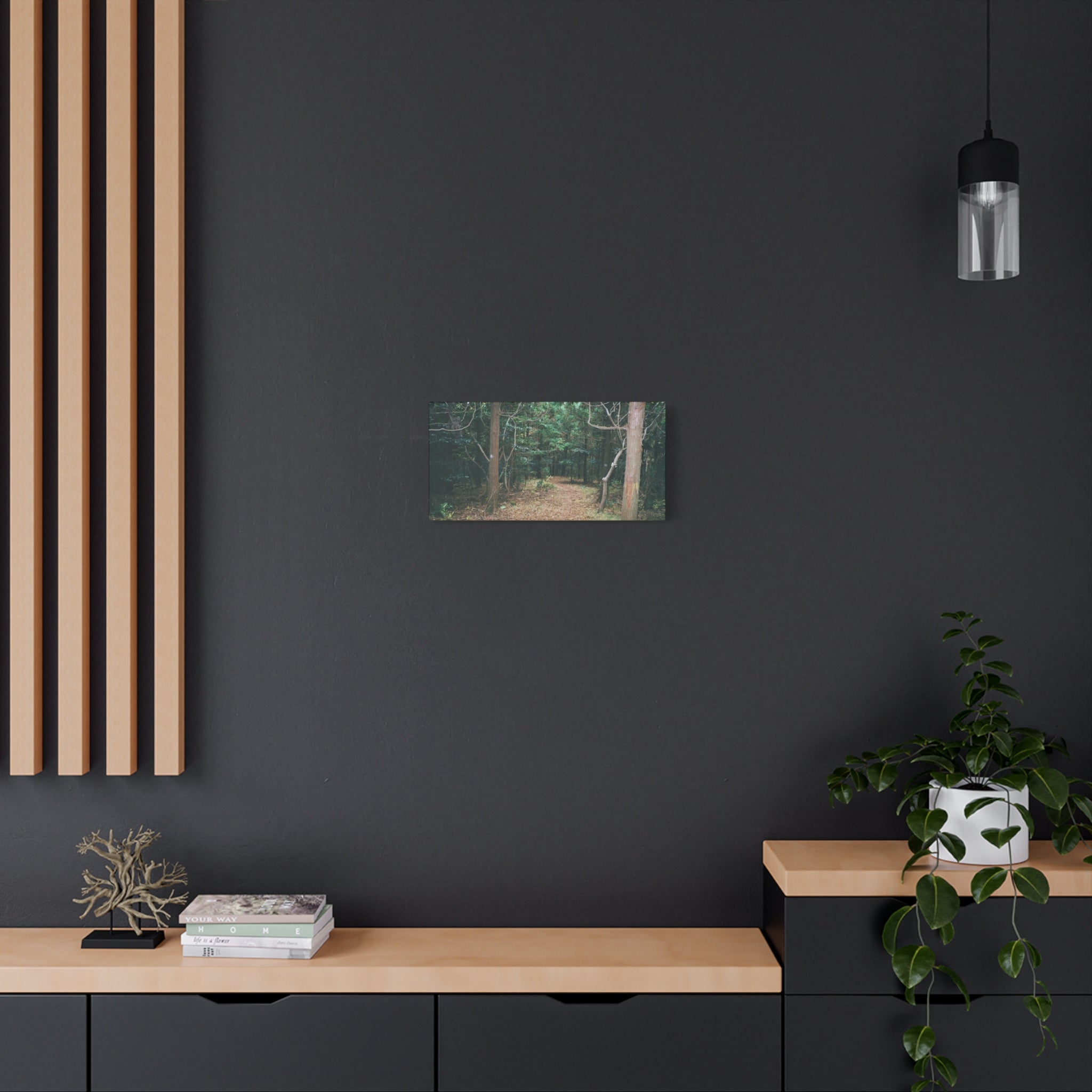 Jeju Winter Oreum Forest Canvas Print