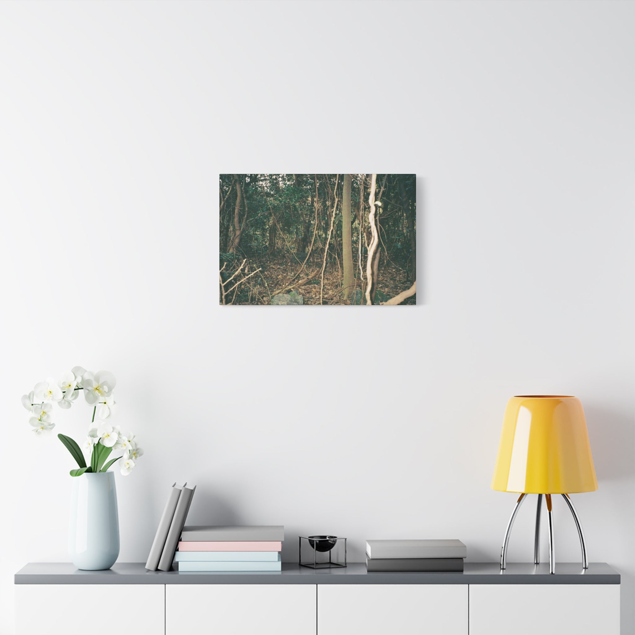 Jeju Gotjawal Forest Canvas Print