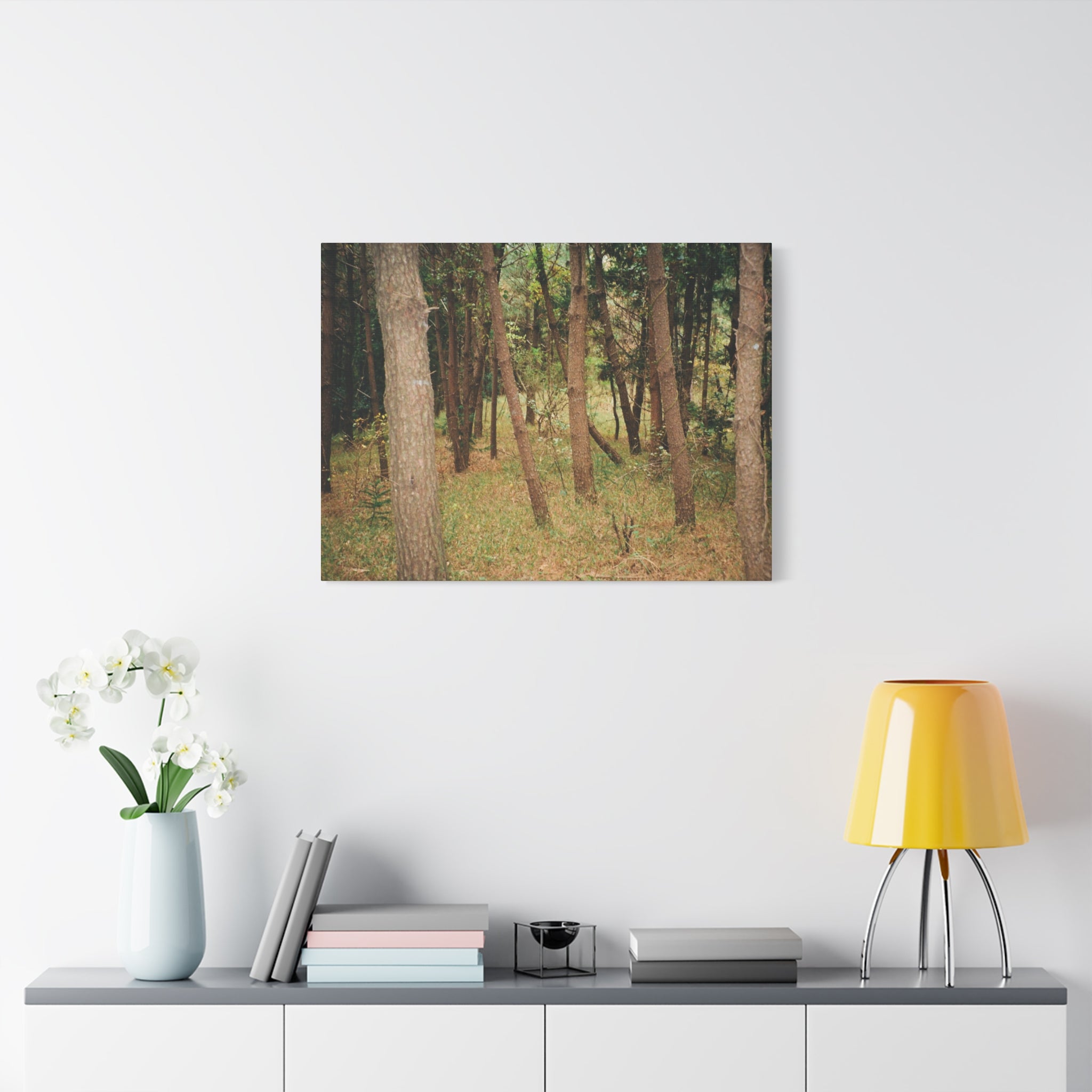 Jeju Gungdae Oreum Forest Canvas Print