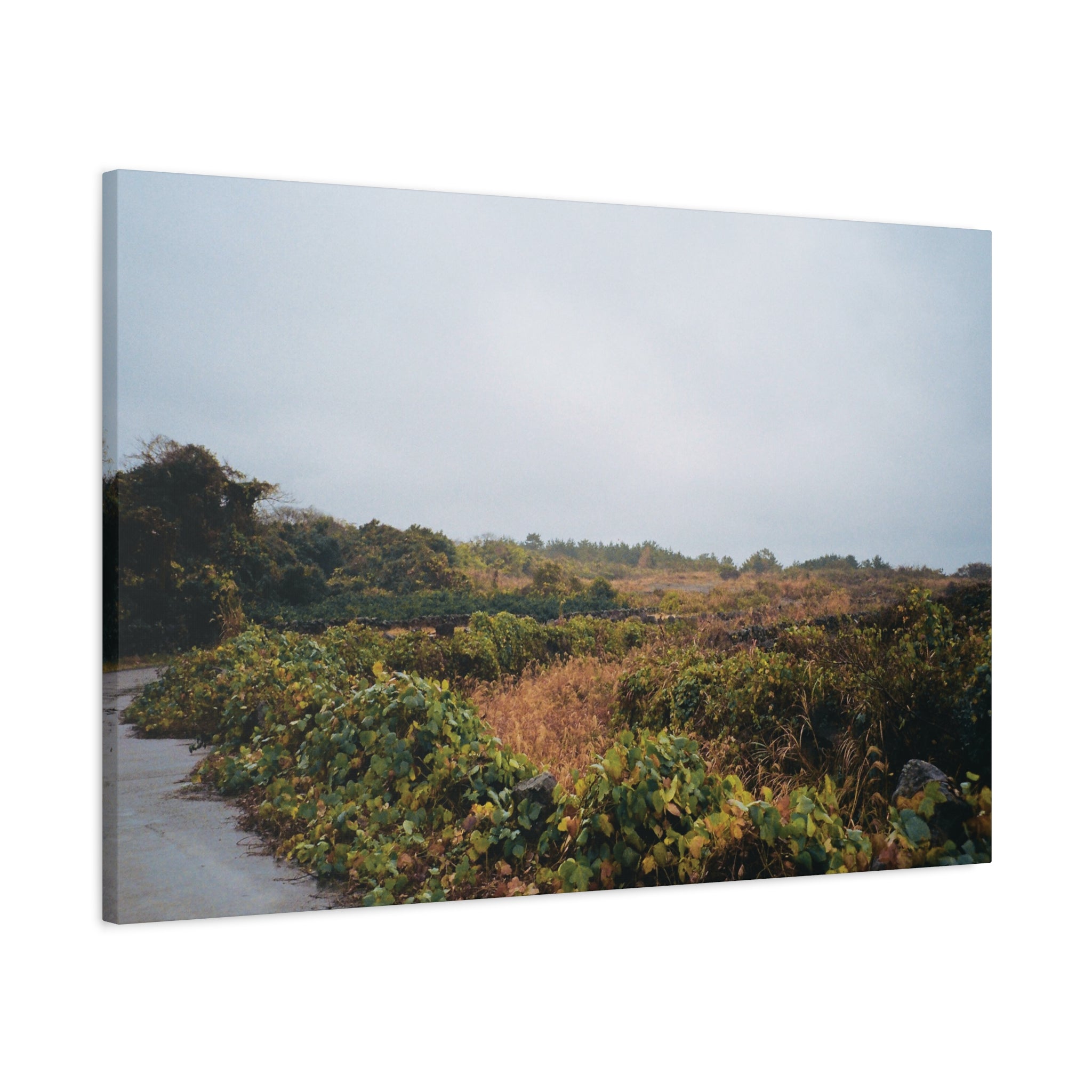 Jeju Rainy Countryside Path Canvas Print — Matte Stretched Wall Art