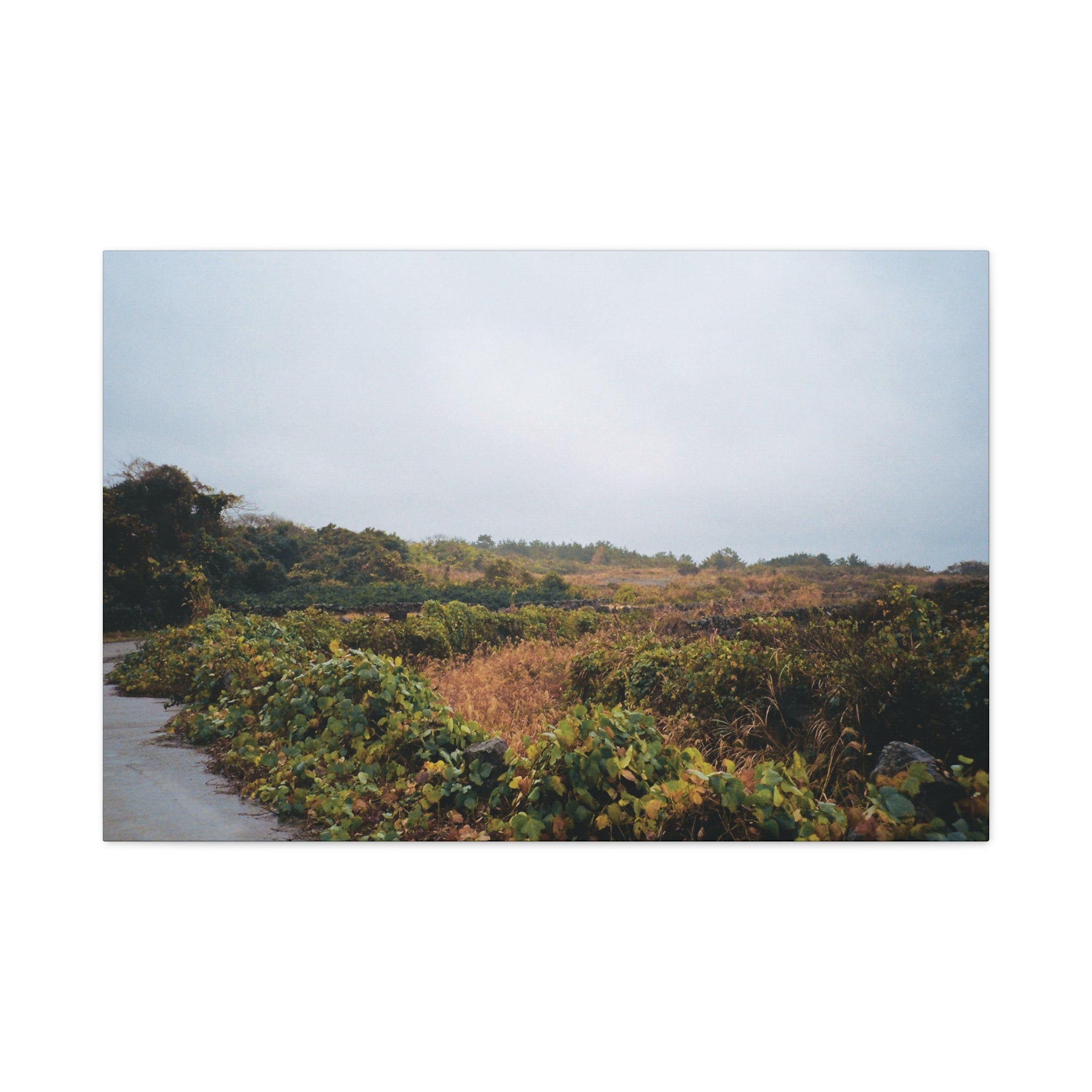 Jeju Rainy Countryside Path Canvas Print — Matte Stretched Wall Art
