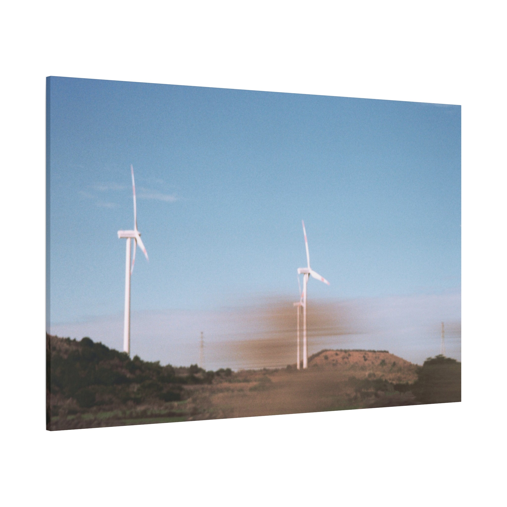 Jeju Winter Silver Grass Canvas Print