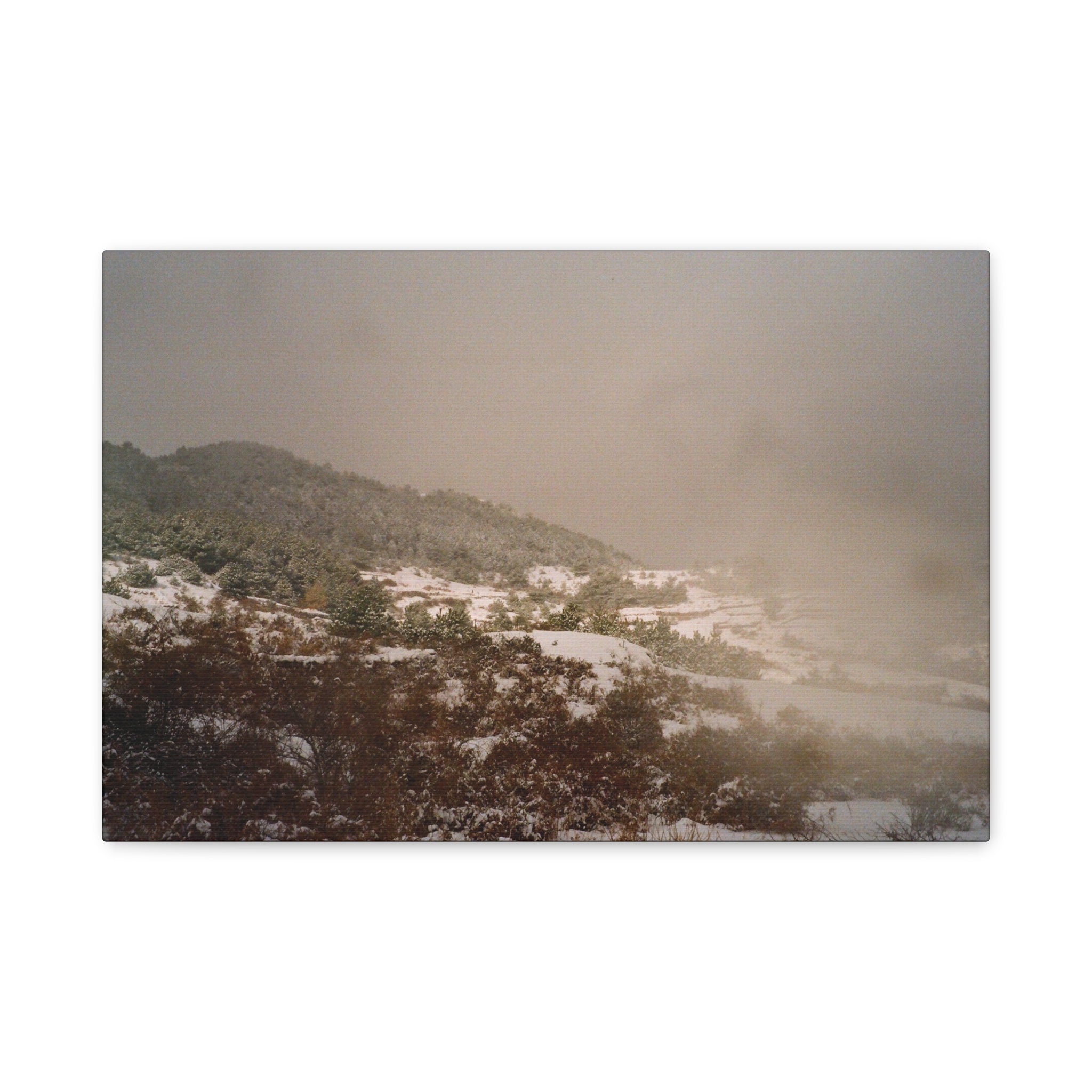 Jeju Snowy Oreum Winter Canvas Print — Evergreen Pine Forest on Snowy Day (Matte Stretched)