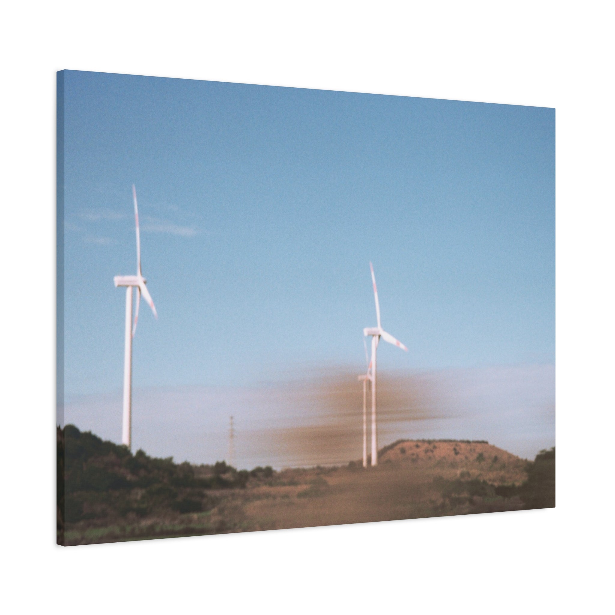 Jeju Winter Silver Grass Canvas Print