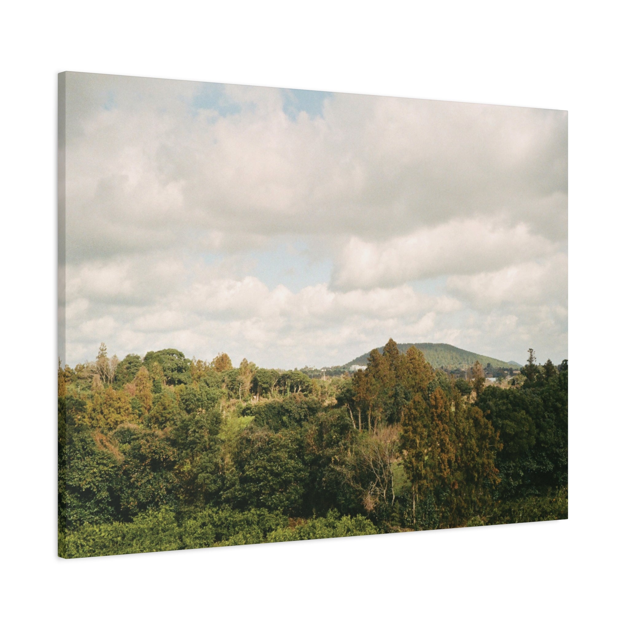 Jeju Wind-Swept Oreum and Clouds Canvas Print