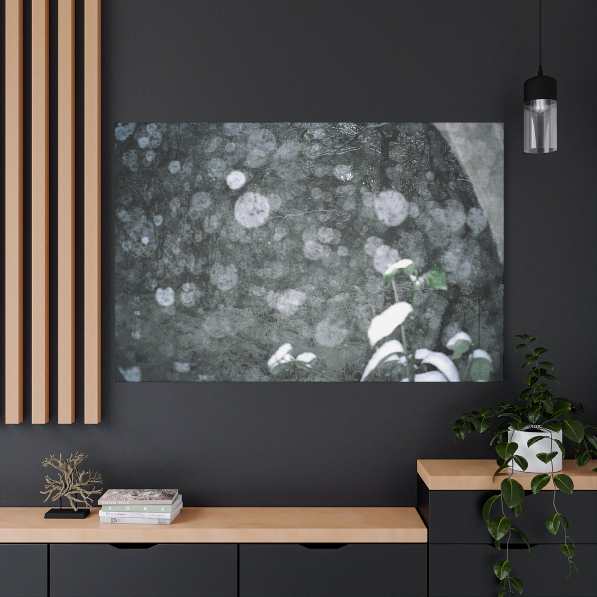 Jeju Snowy Gotjawal Forest Canvas Print