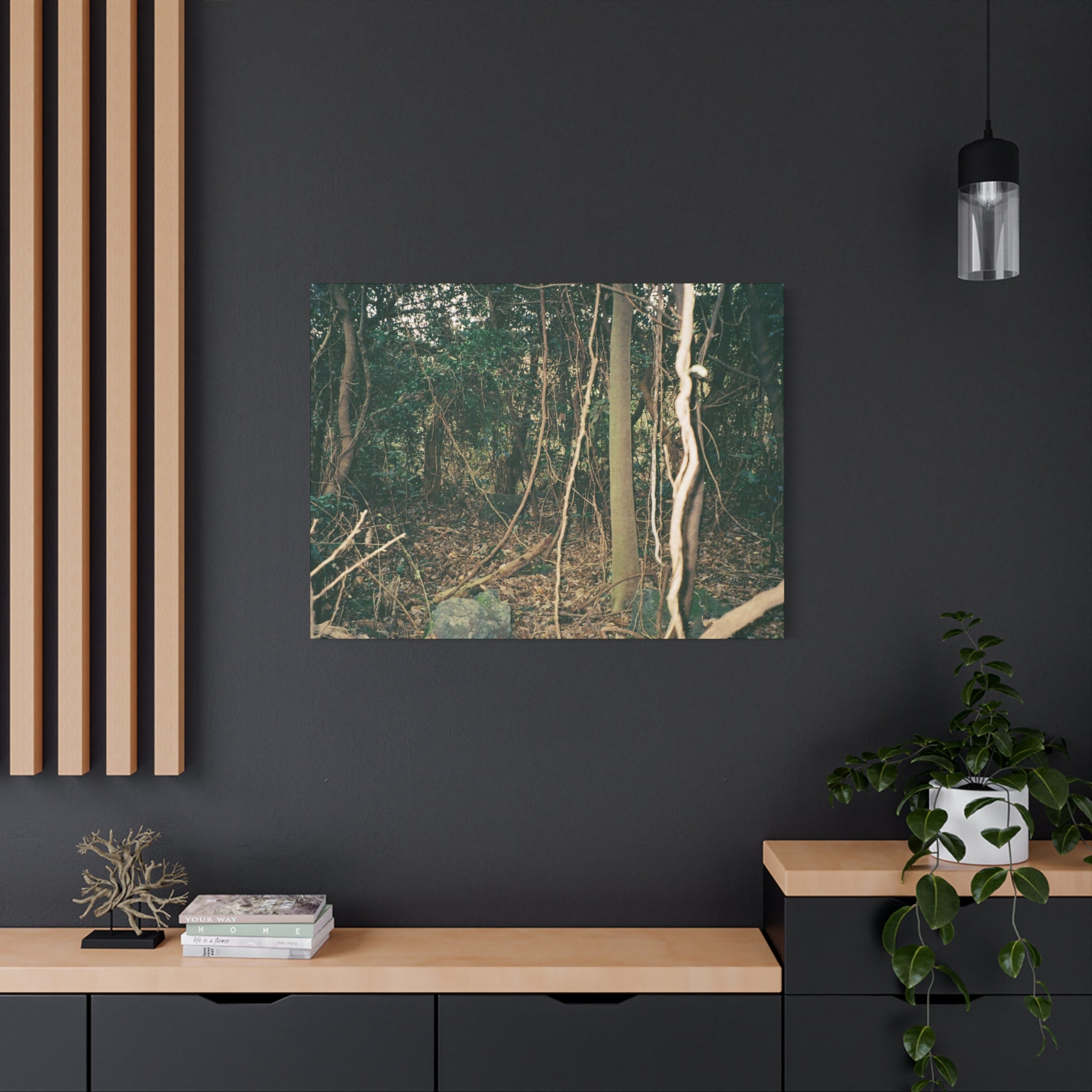 Jeju Gotjawal Forest Canvas Print
