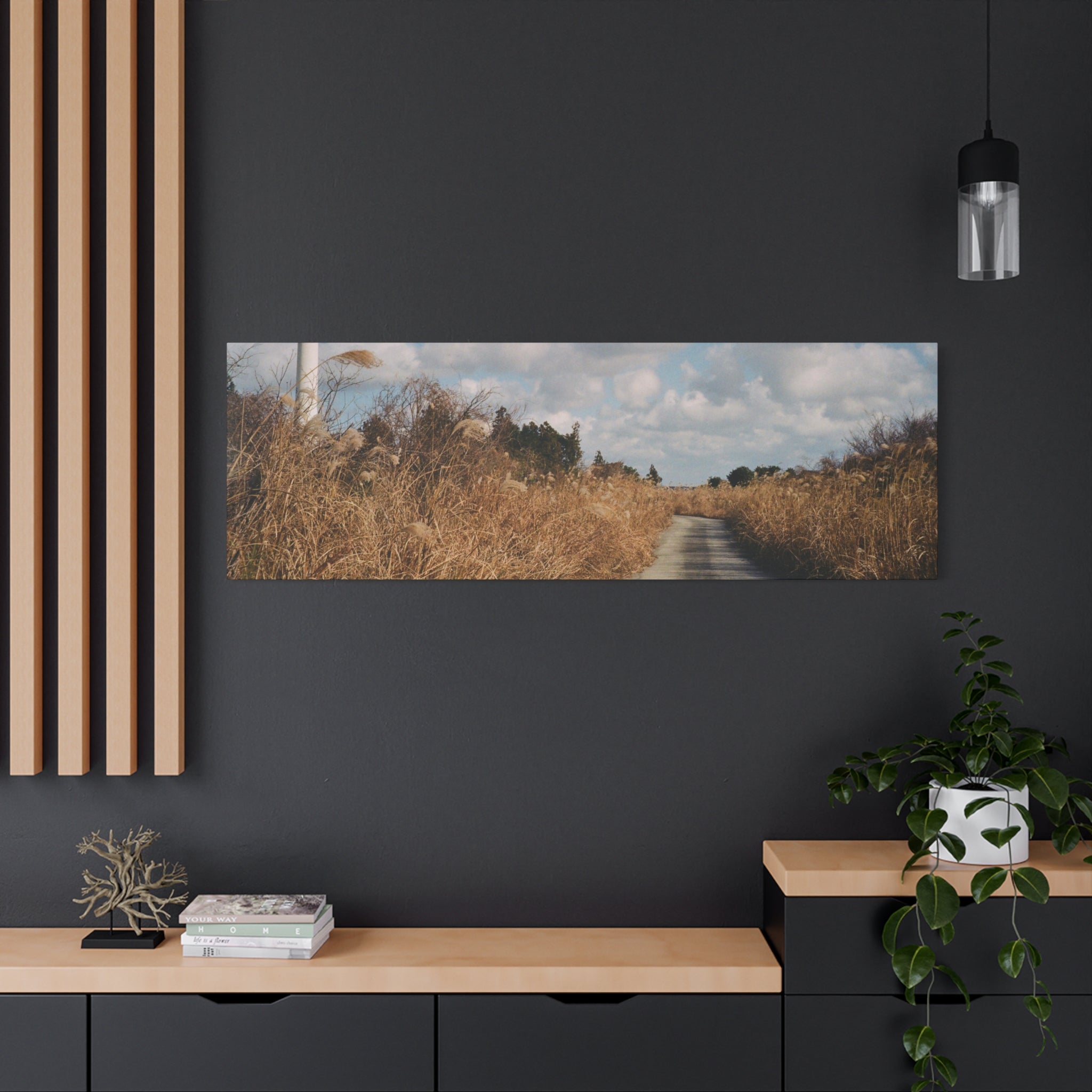 Jeju Gotjawal Winter Silver Grass Canvas Print