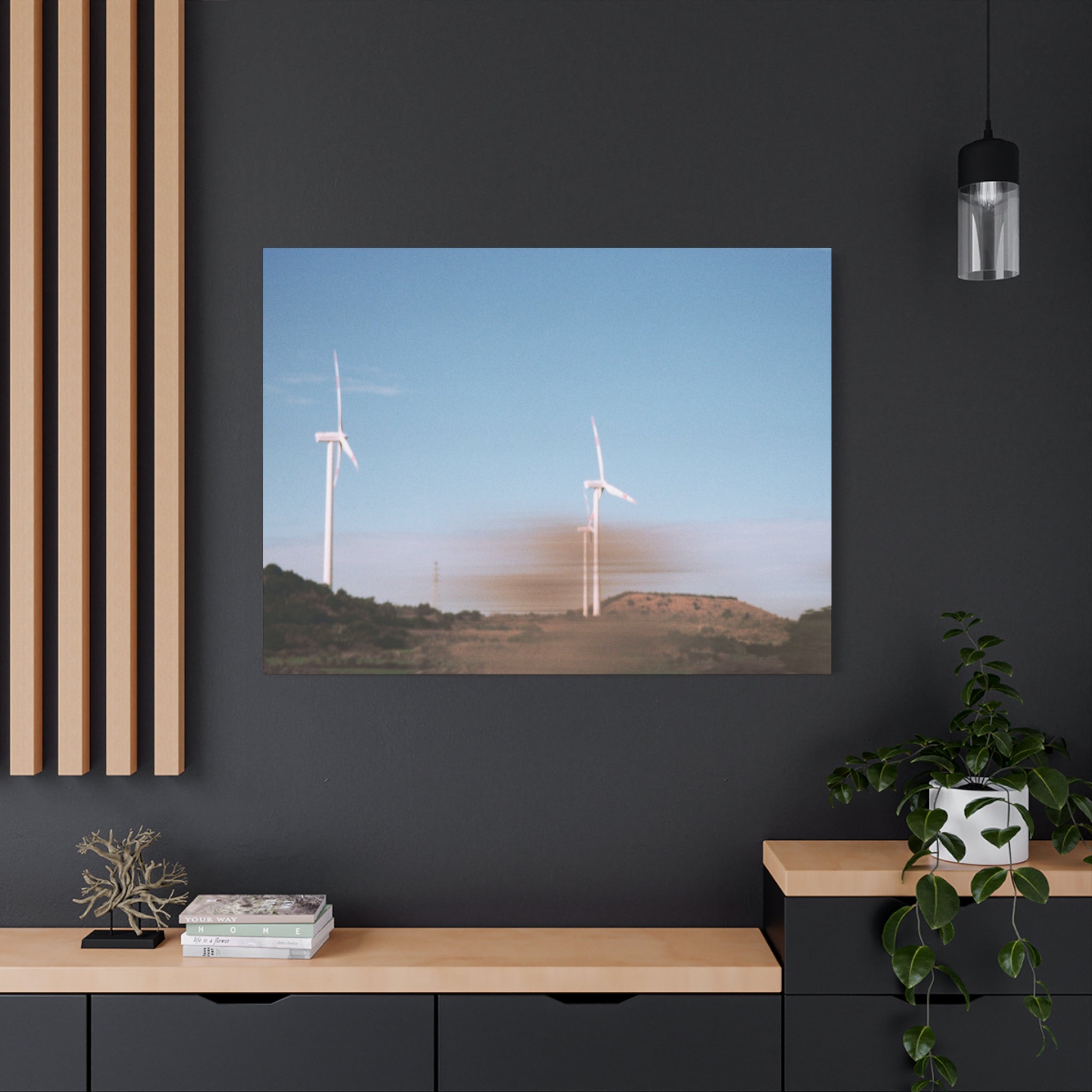 Jeju Winter Silver Grass Canvas Print