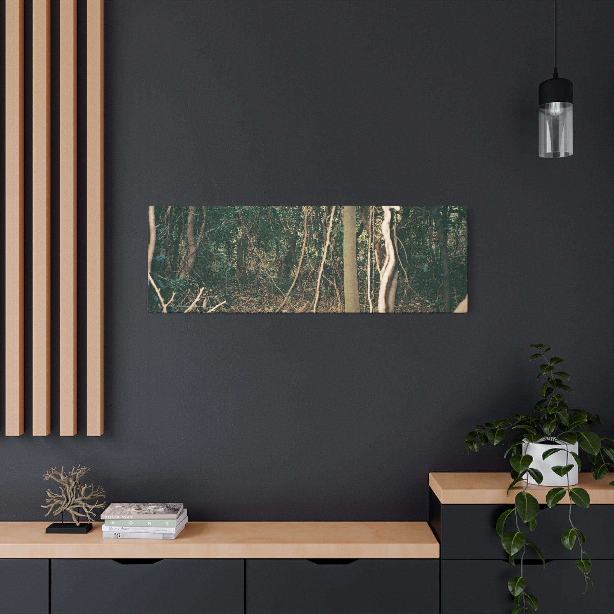 Jeju Gotjawal Forest Canvas Print