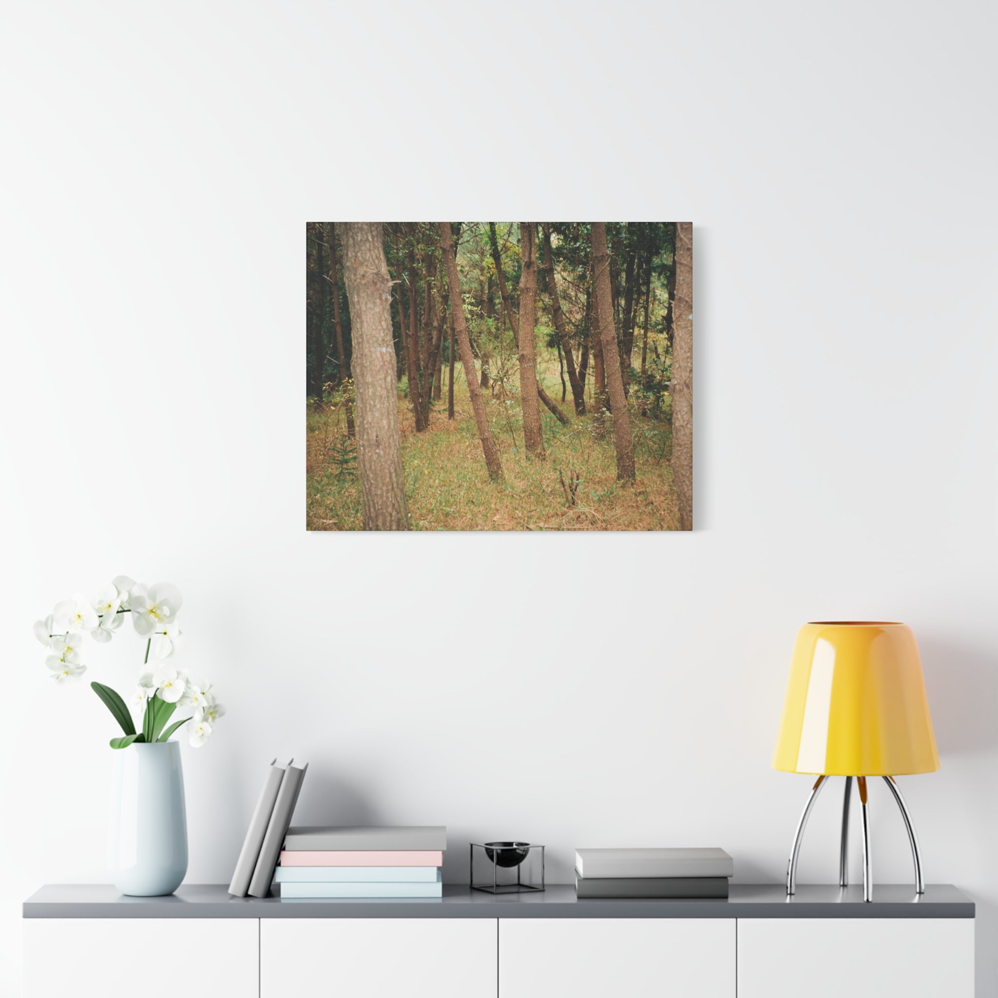 Jeju Gungdae Oreum Forest Canvas Print