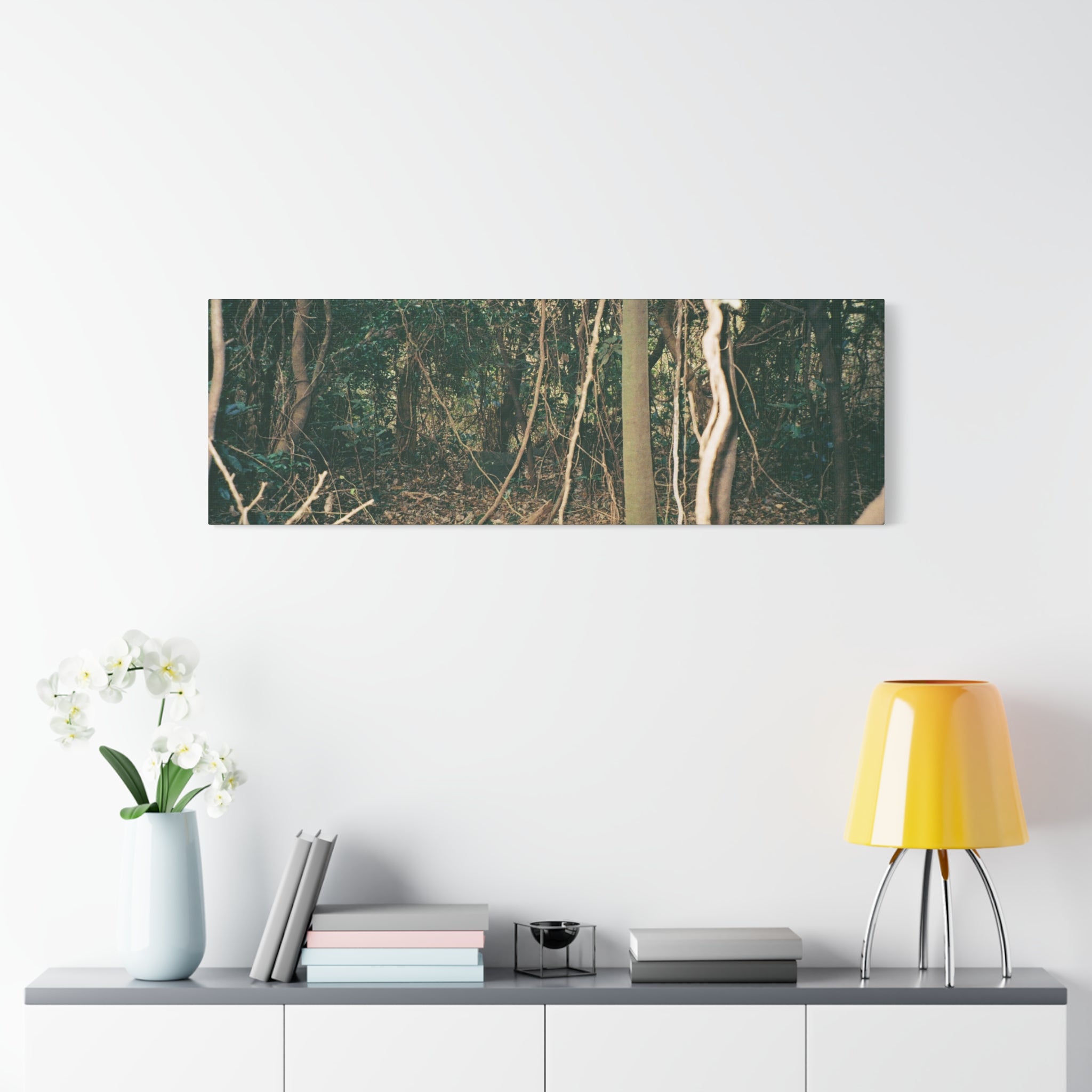 Jeju Gotjawal Forest Canvas Print