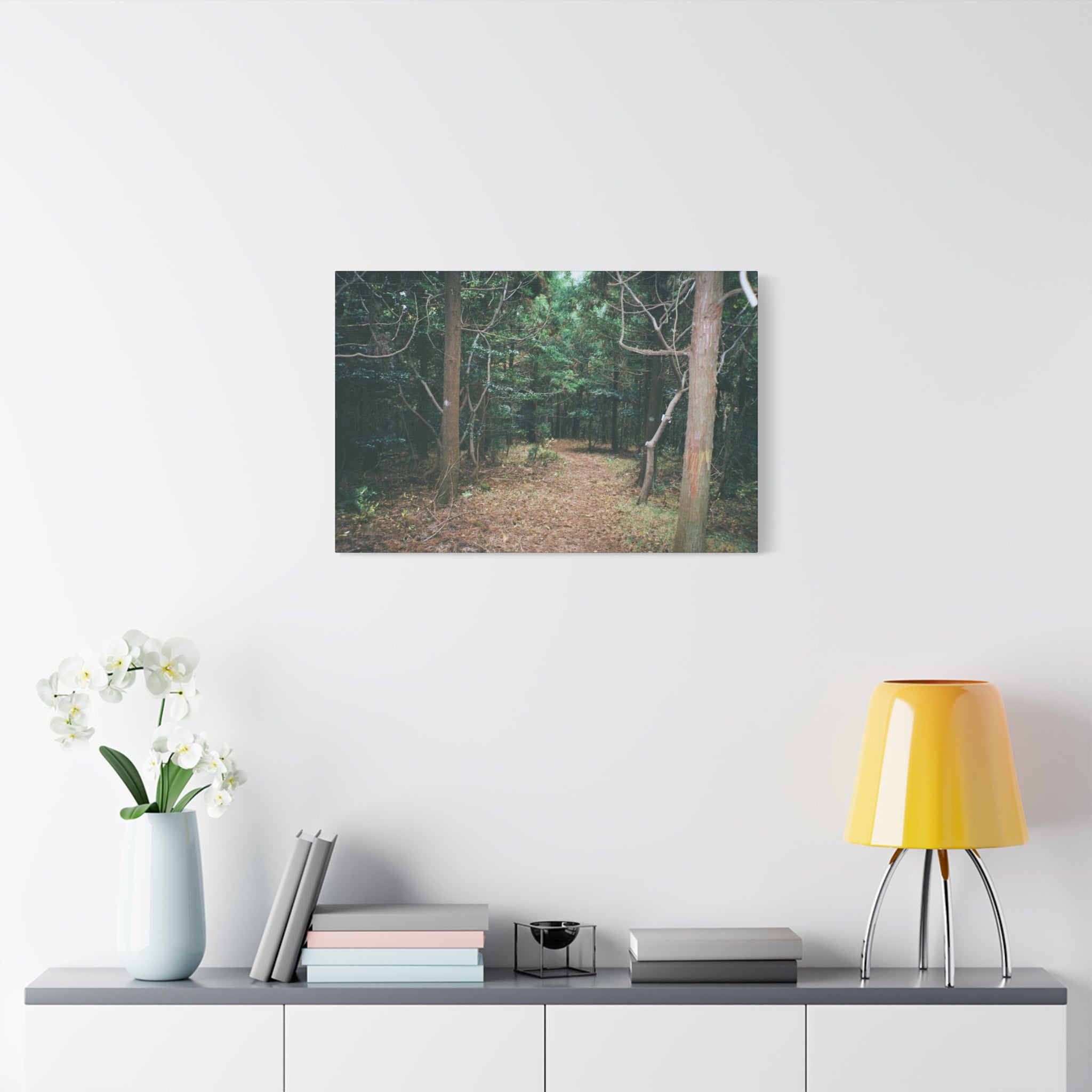 Jeju Winter Oreum Forest Canvas Print