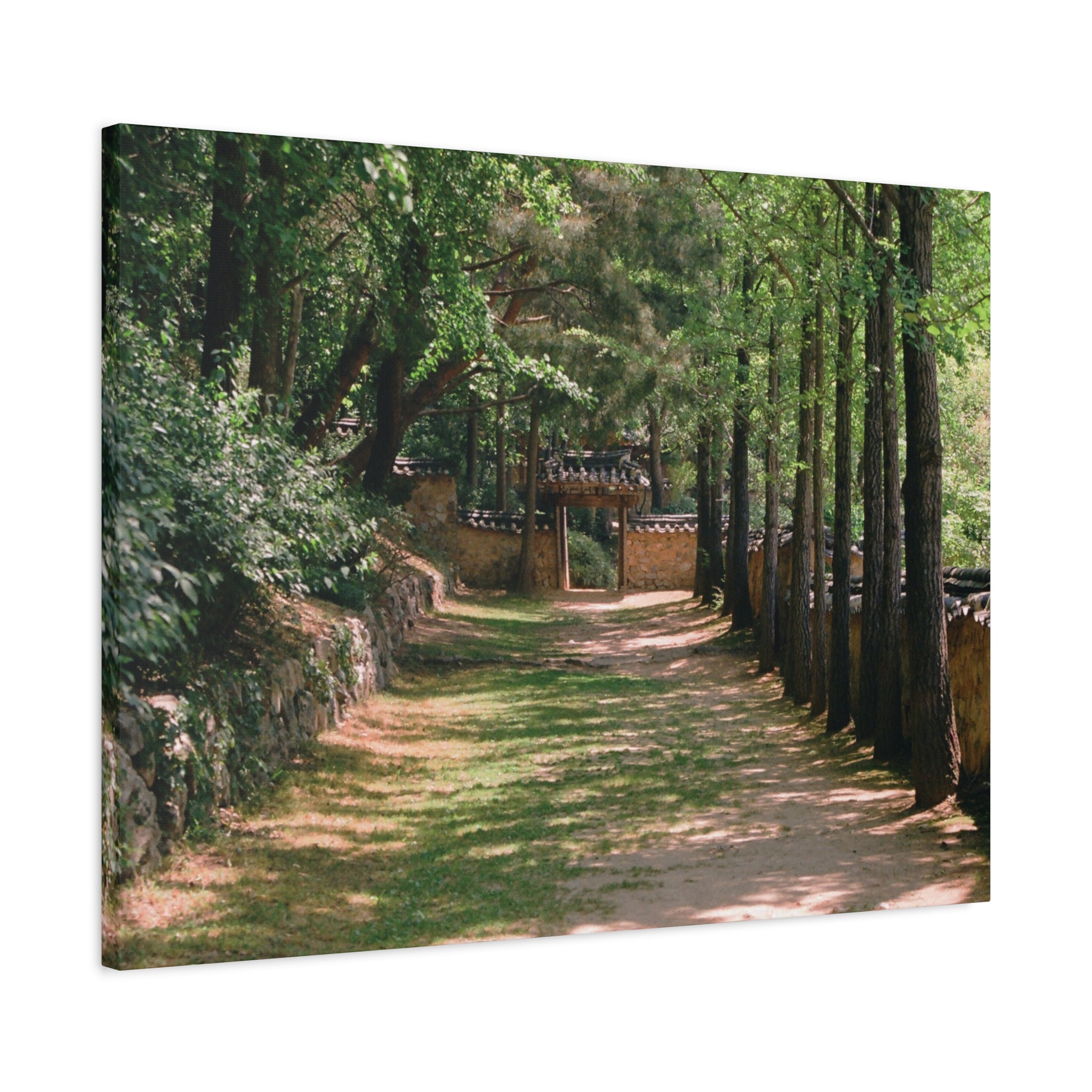 Korean Yongin Folk Village Hanok Lane Canvas Print