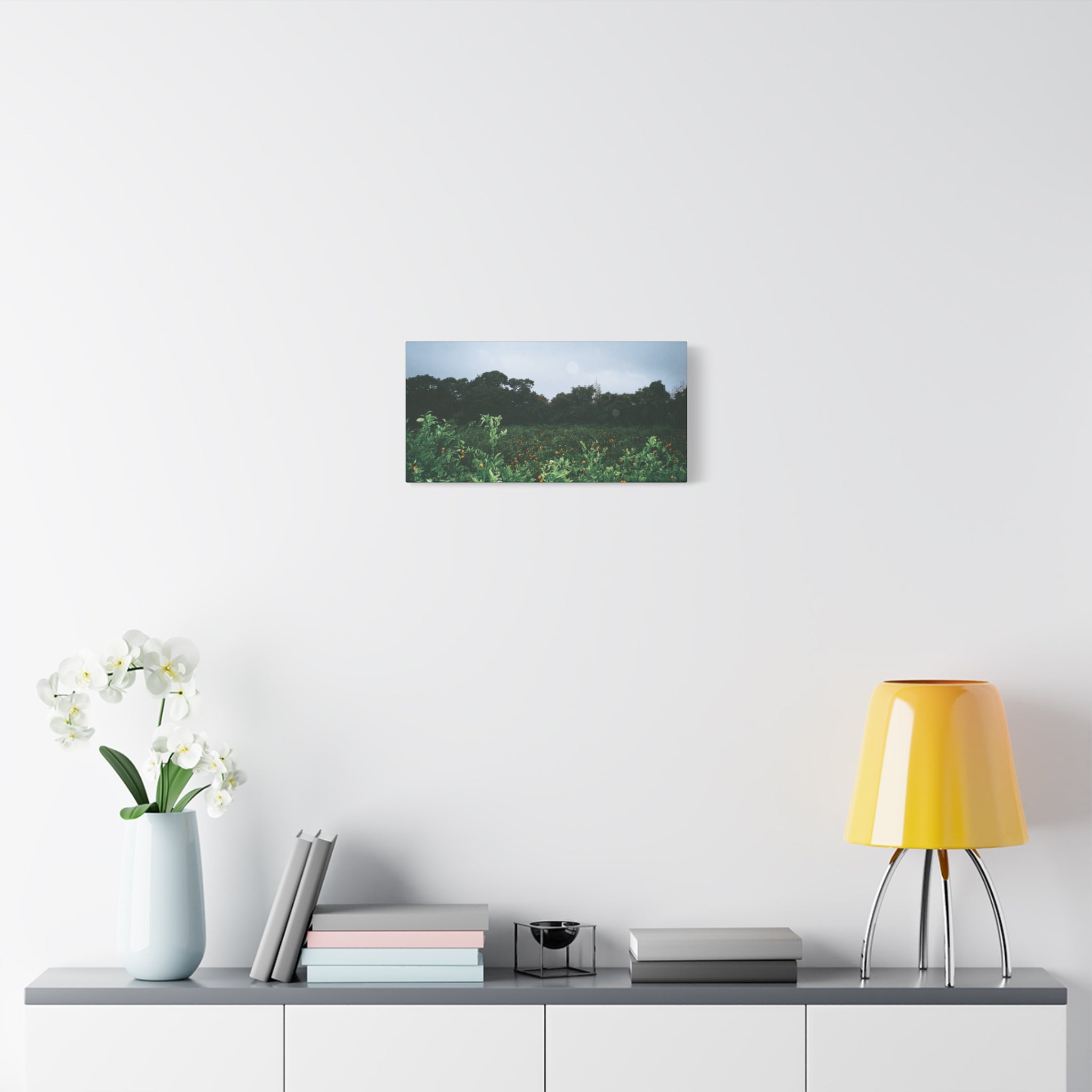 Jeju Winter Snowy Tangerine Orchard Canvas Print