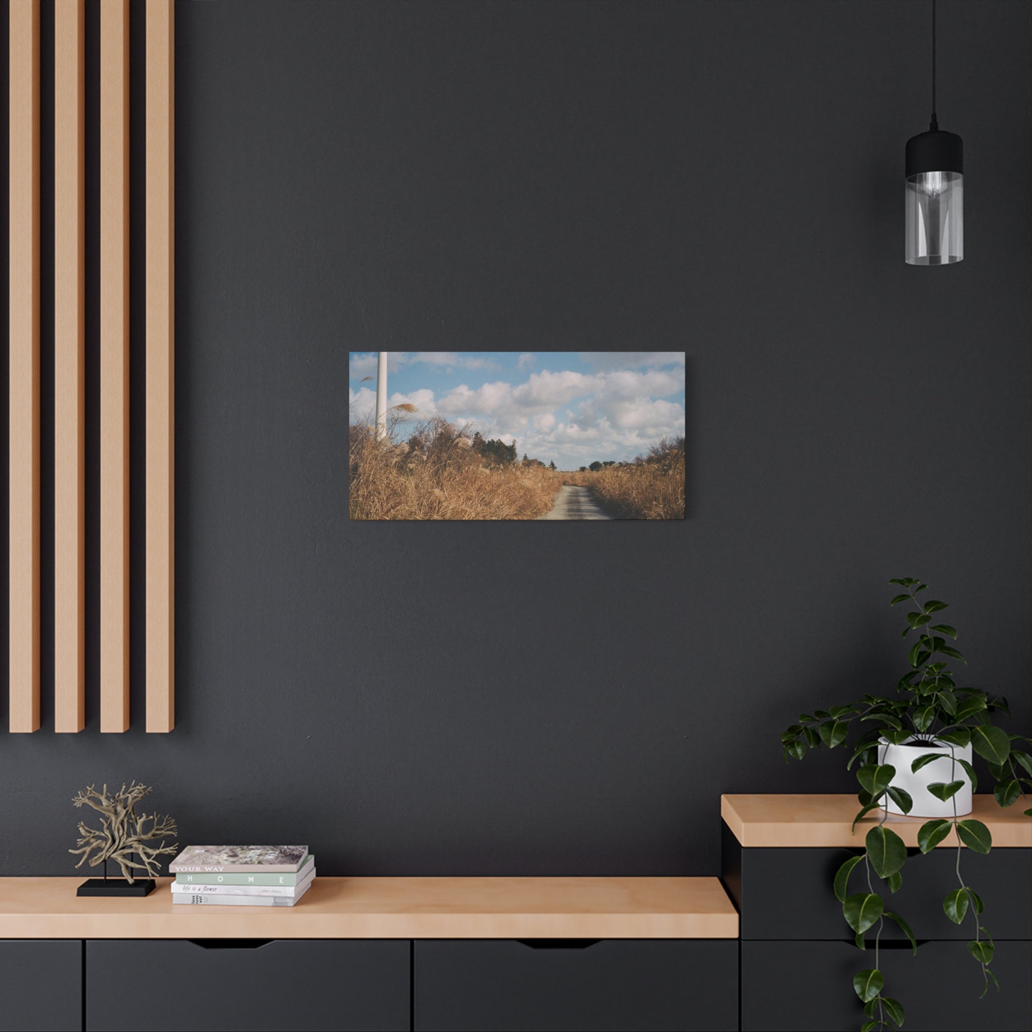 Jeju Gotjawal Winter Silver Grass Canvas Print