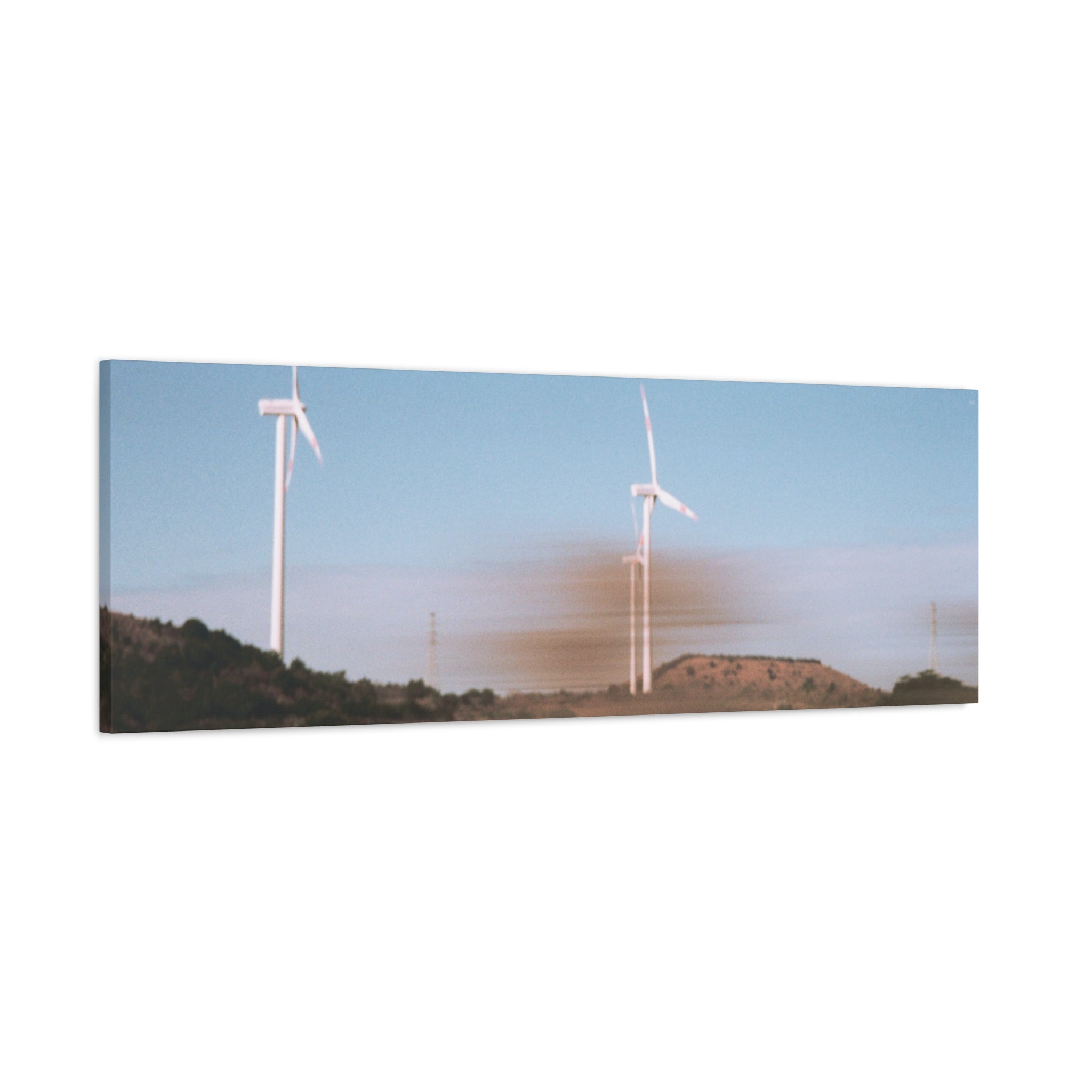 Jeju Winter Silver Grass Canvas Print