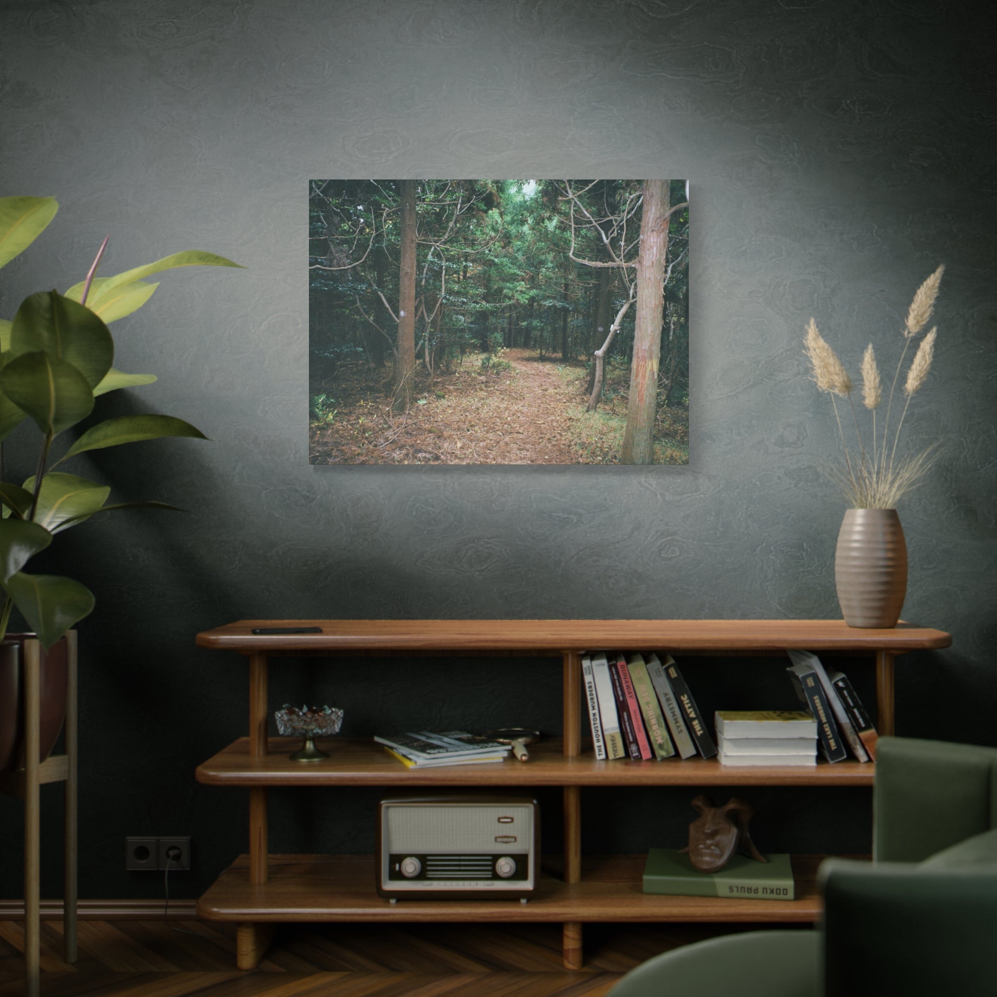Jeju Winter Oreum Forest Canvas Print