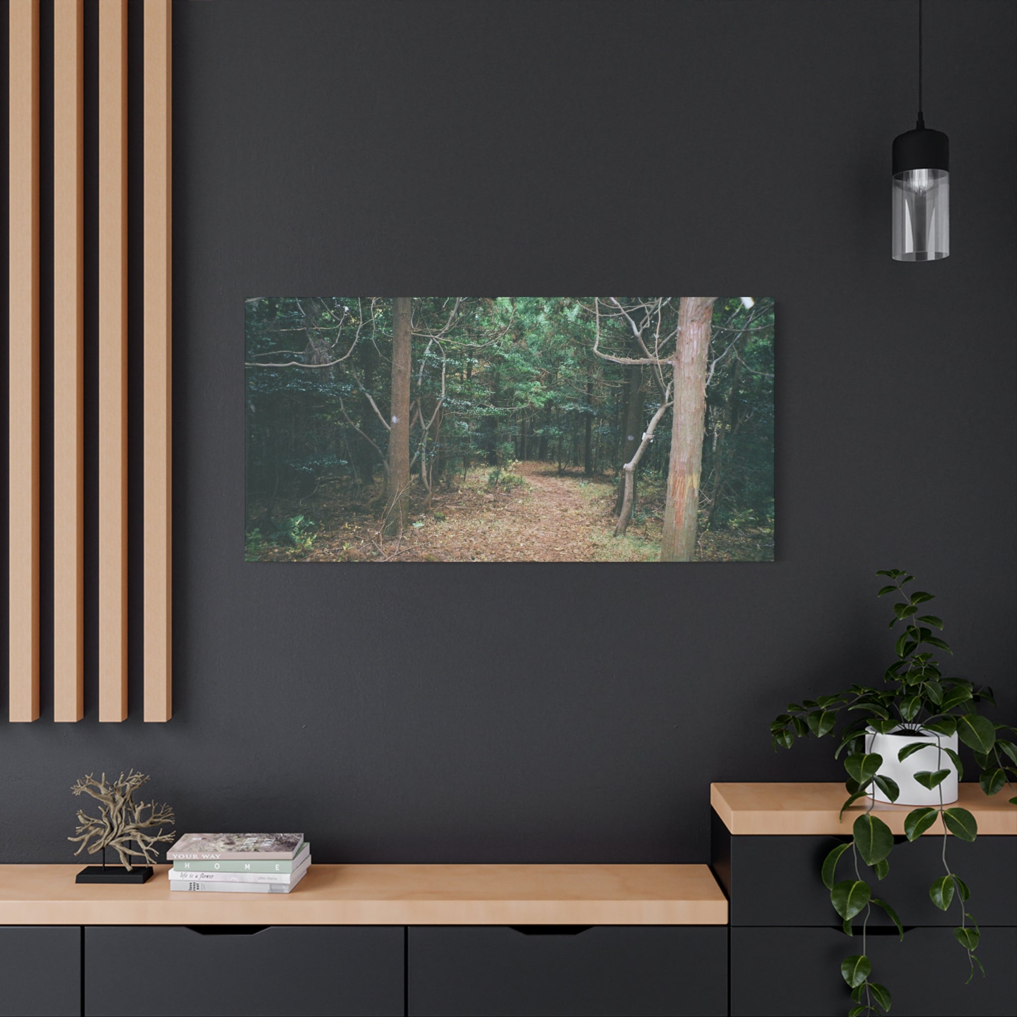 Jeju Winter Oreum Forest Canvas Print