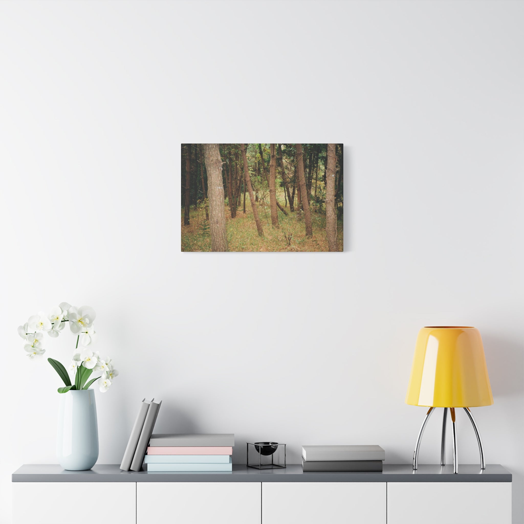 Jeju Gungdae Oreum Forest Canvas Print